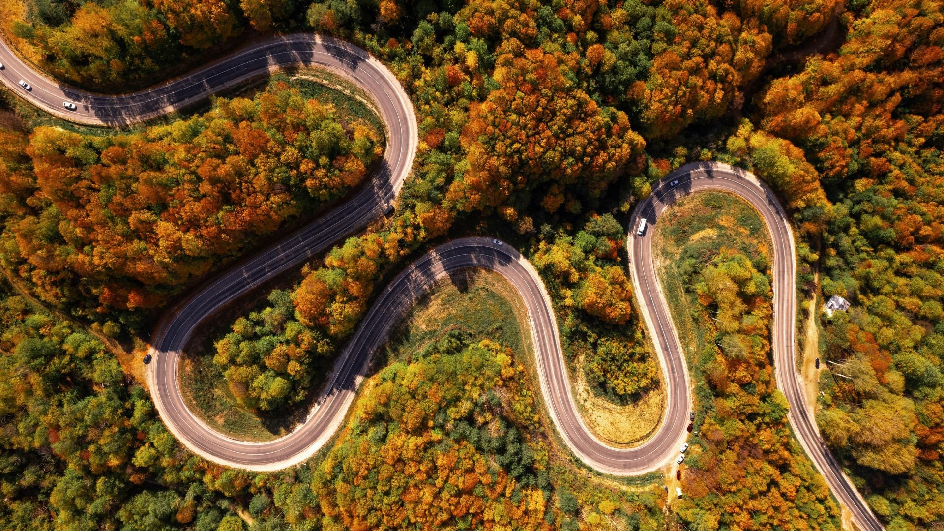 Aerial view of a winding mountain road surrounded by dense trees with green, yellow, and orange autumn foliage.