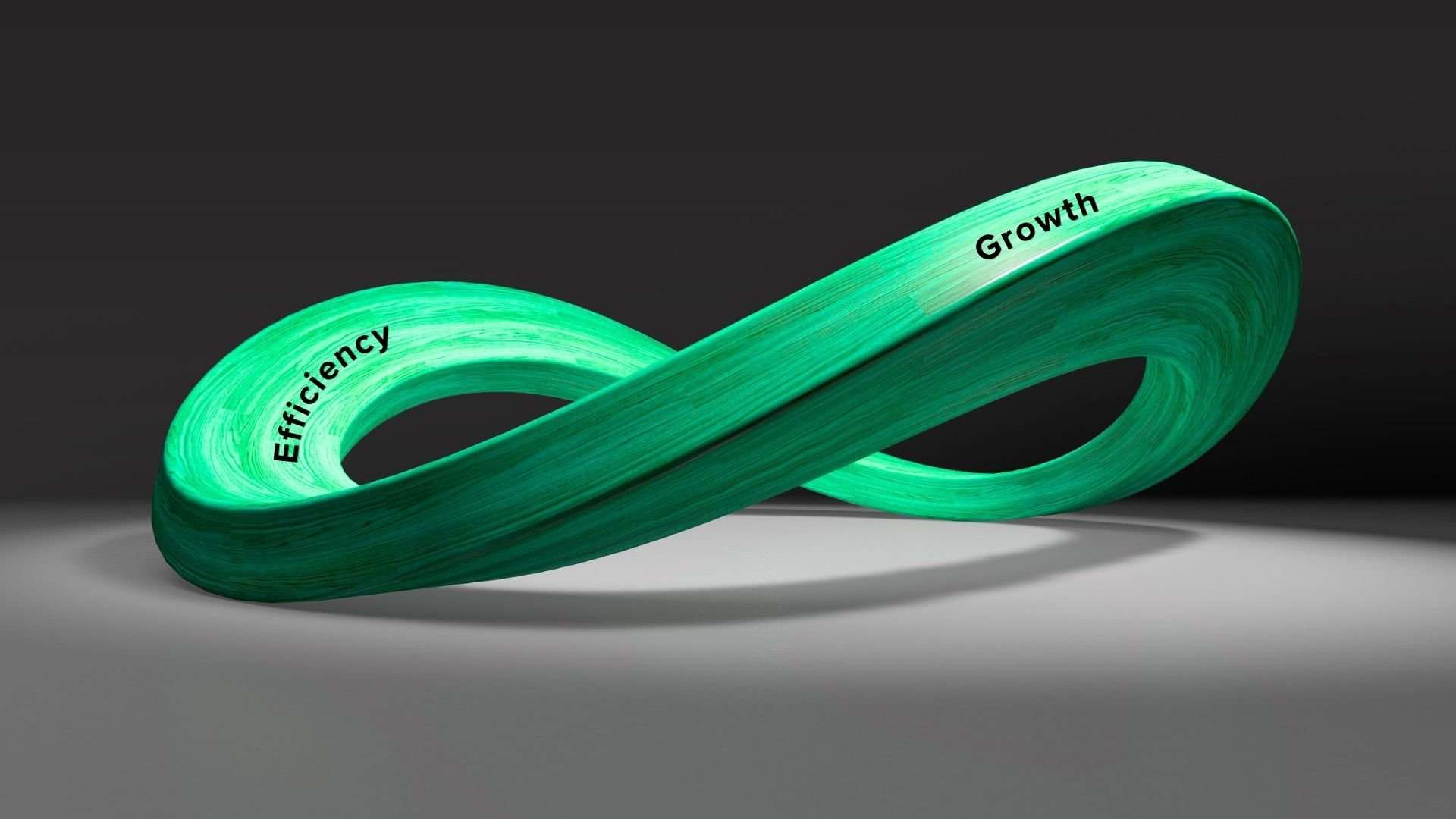 Efficiency and Growth