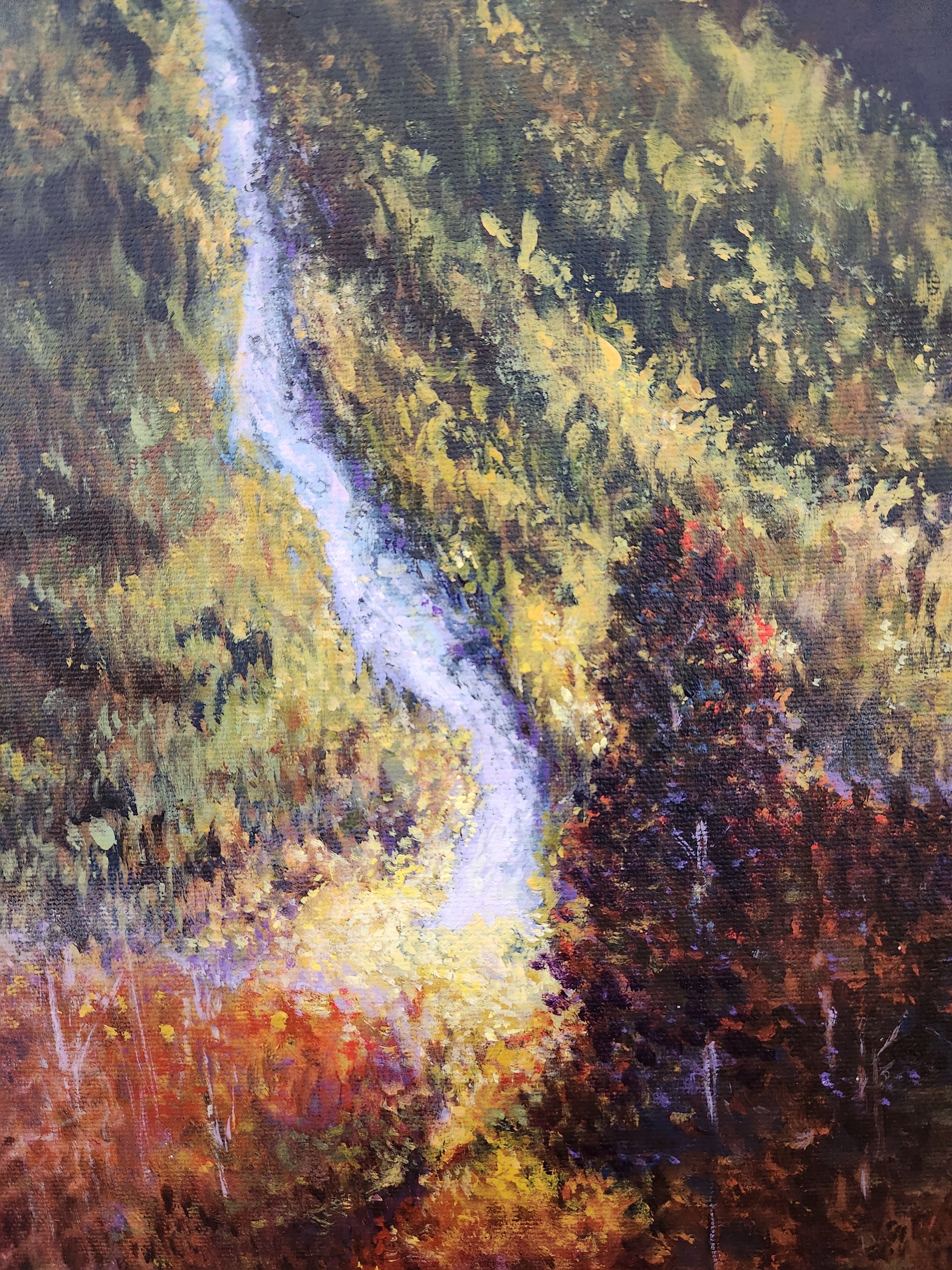 detail Rochet De Boule, Hagwilget acrylic by stephanielorinda.jpg