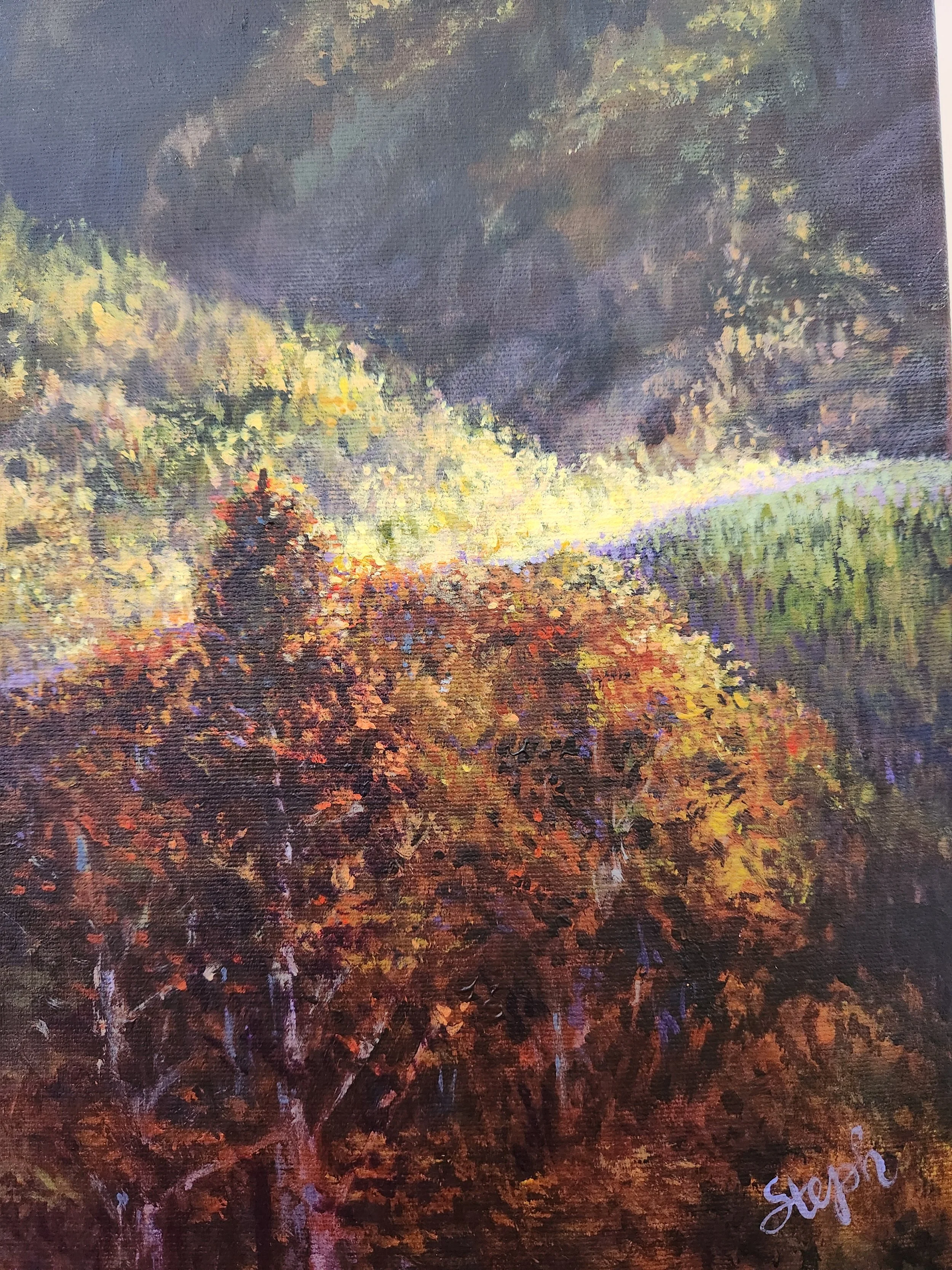 detail Rochet De Boule, Hagwilget acrylic by stephanielorinda.jpg