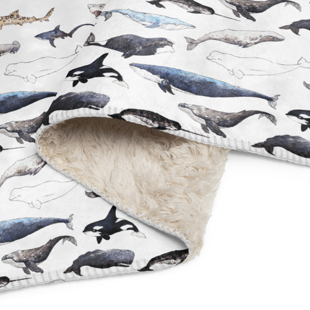 sublimated-sherpa-blanket-tan-37x57-product-details-2-6931f6ec1d6b9.png