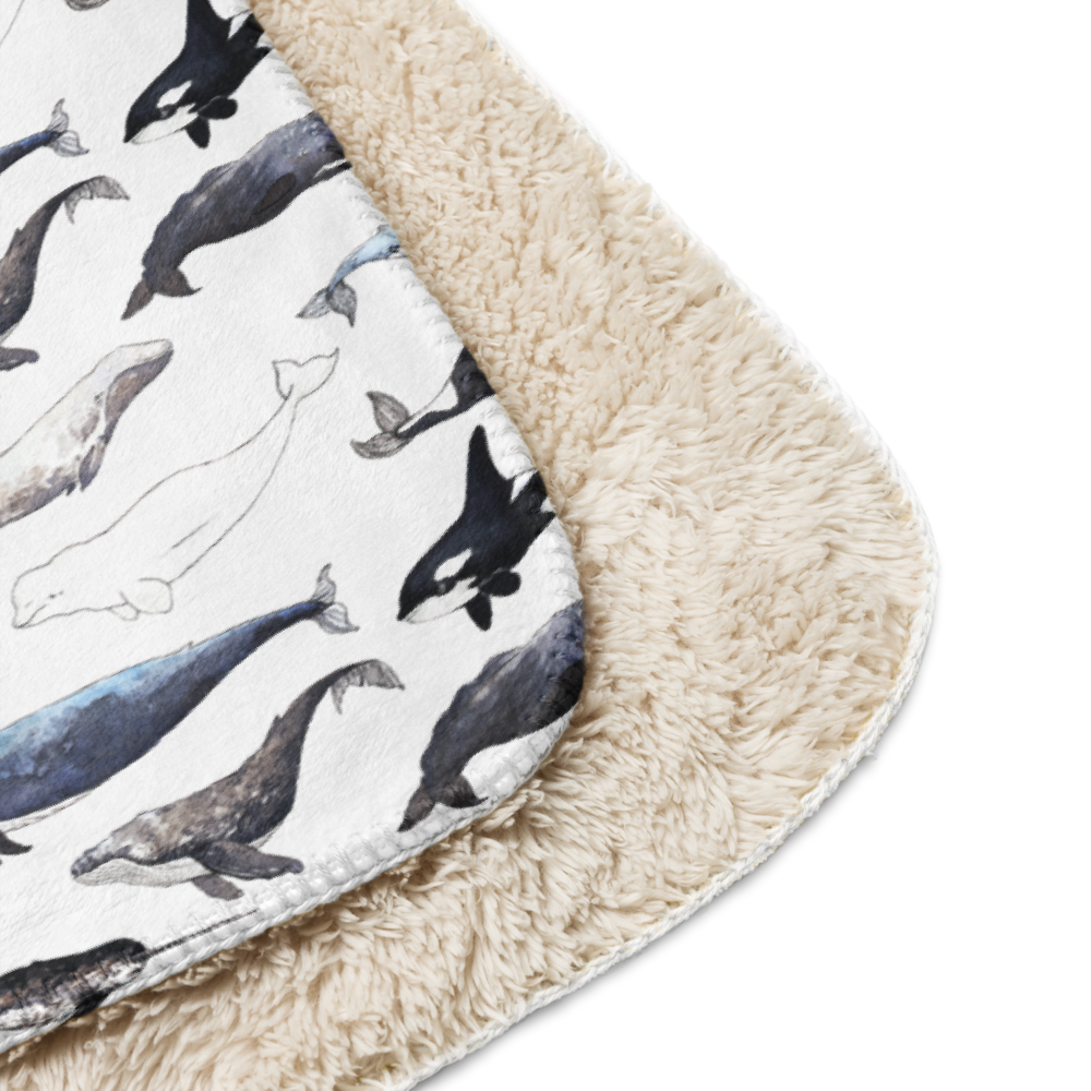sublimated-sherpa-blanket-tan-37x57-product-details-6931f6ec1d62d.png