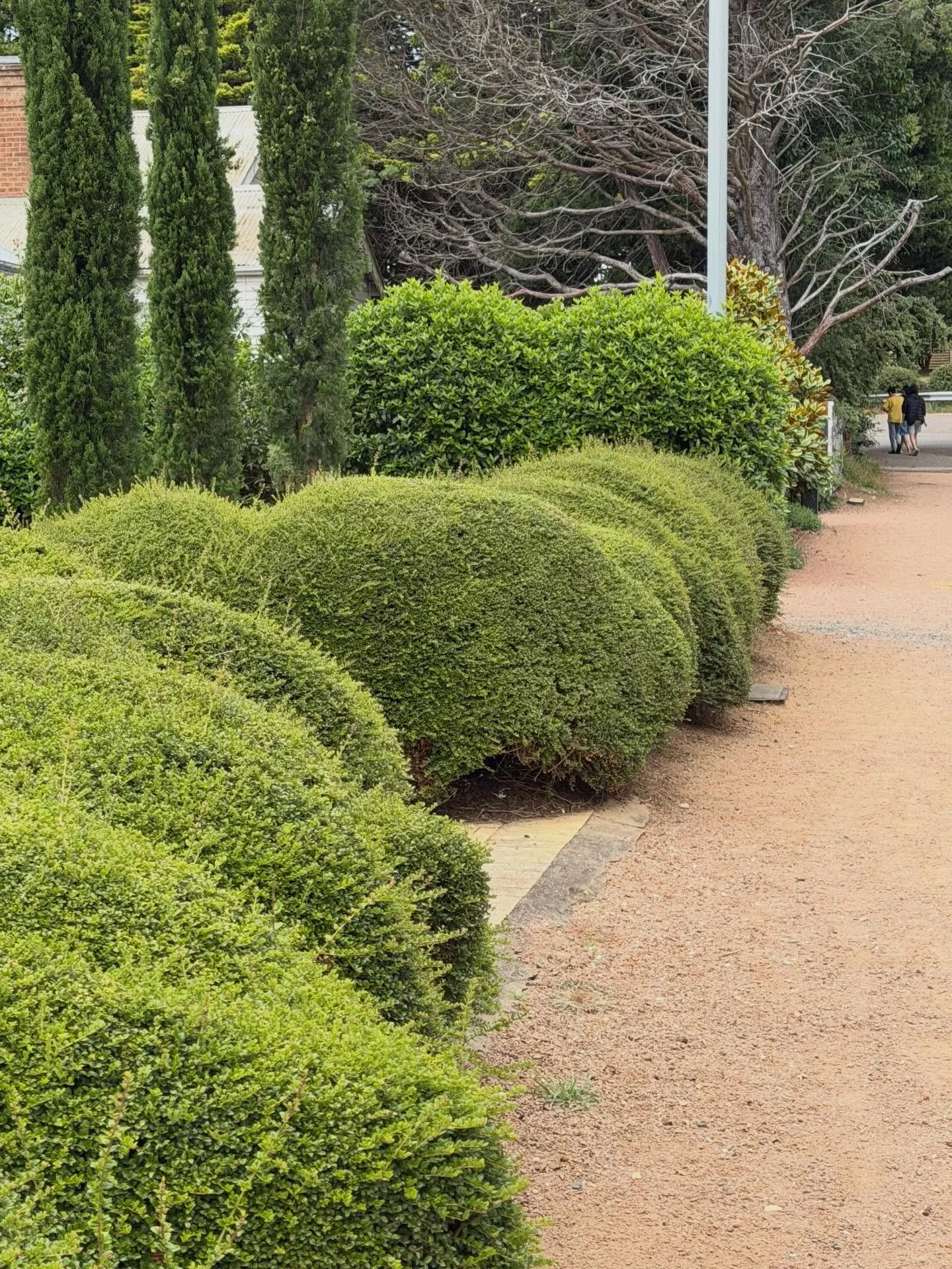 Southern highlands gorgeous gardens - love that sculpture low hedge!