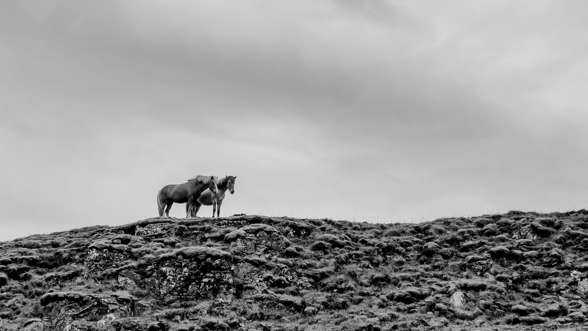 Keepers of the Ridge