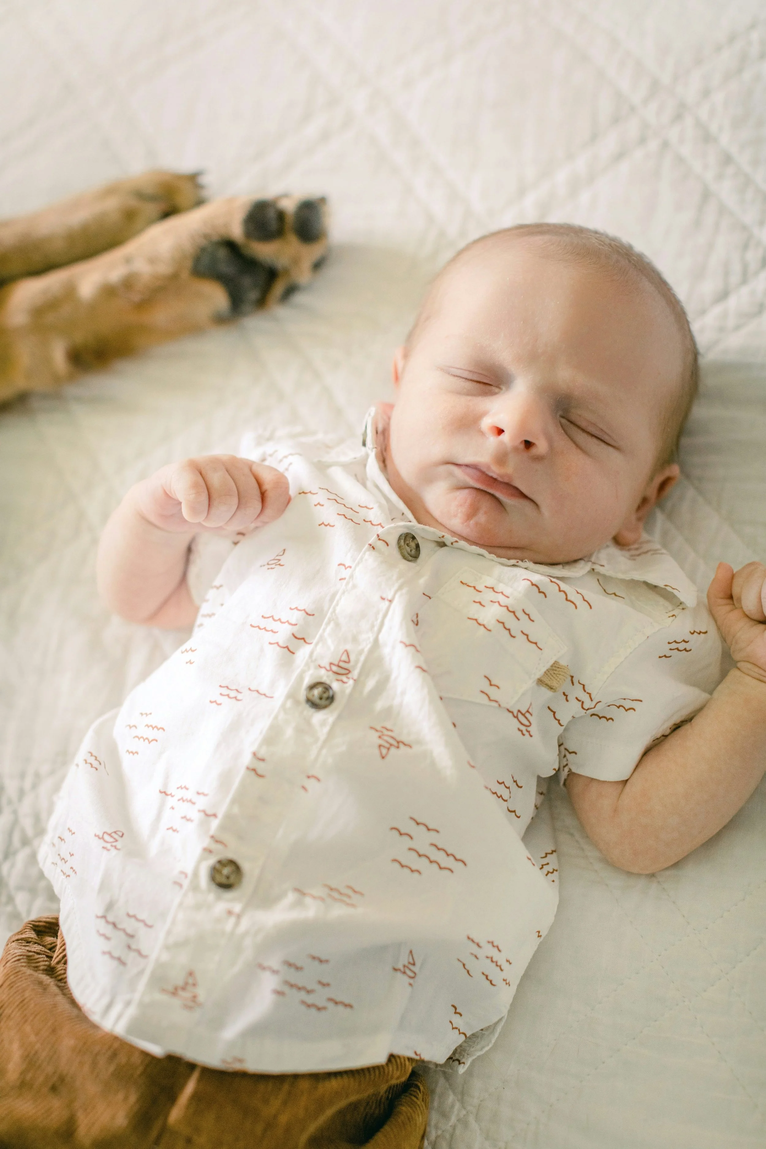 A sleeping baby lying on a white quilted surface, wearing a white shirt with small red and brown markings, with a toy dog nearby.