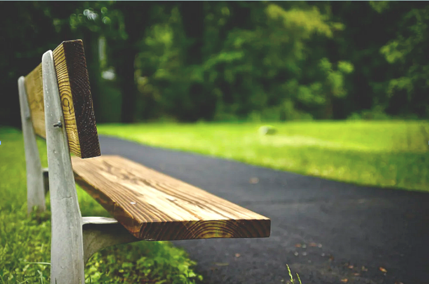Empty park bench beside a paved walking path in a green park with trees and grass.