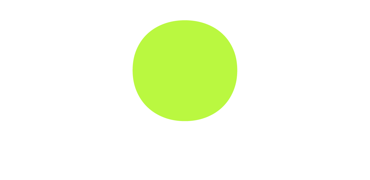 ICON Digital Solutions