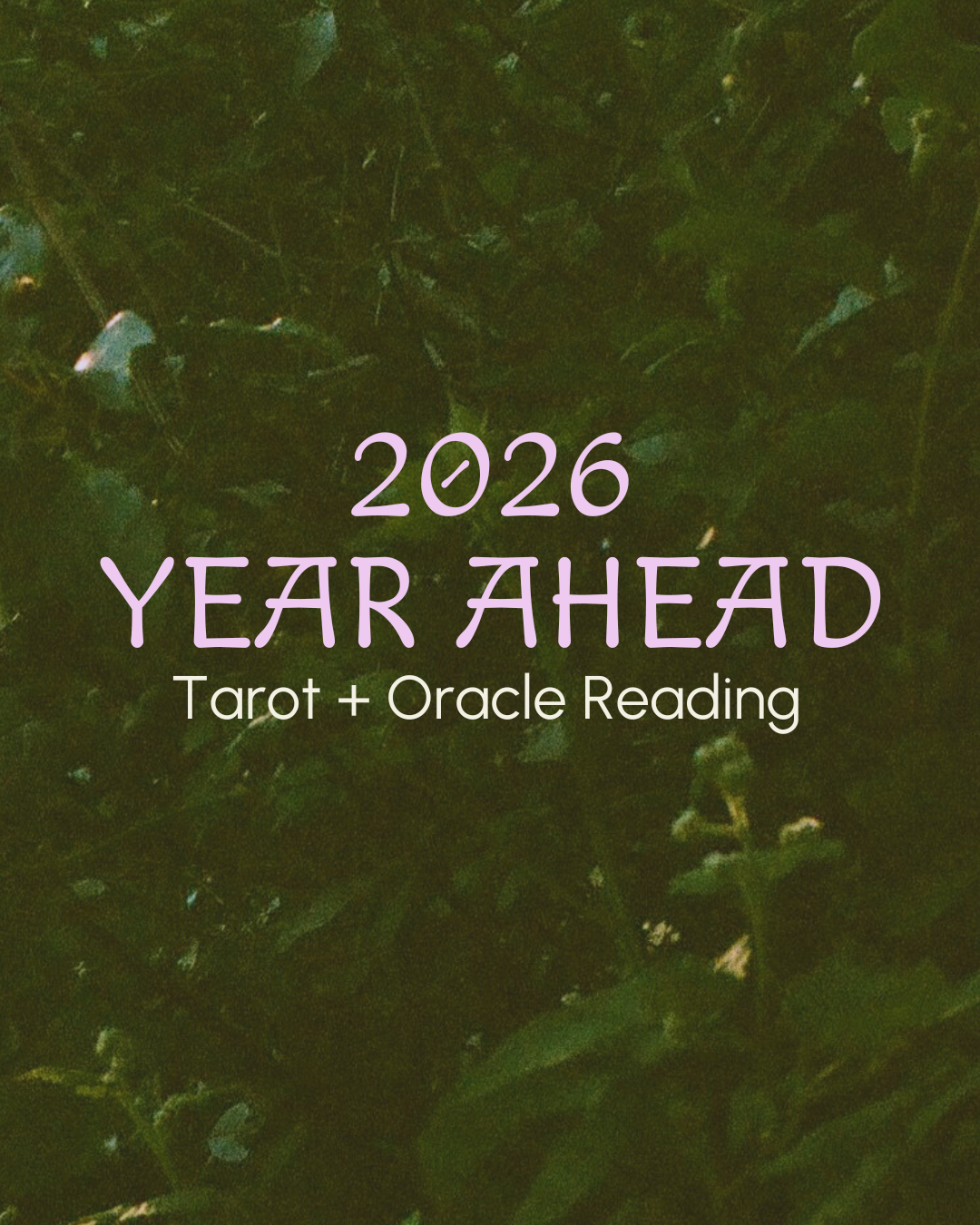 Shop Product Images.png