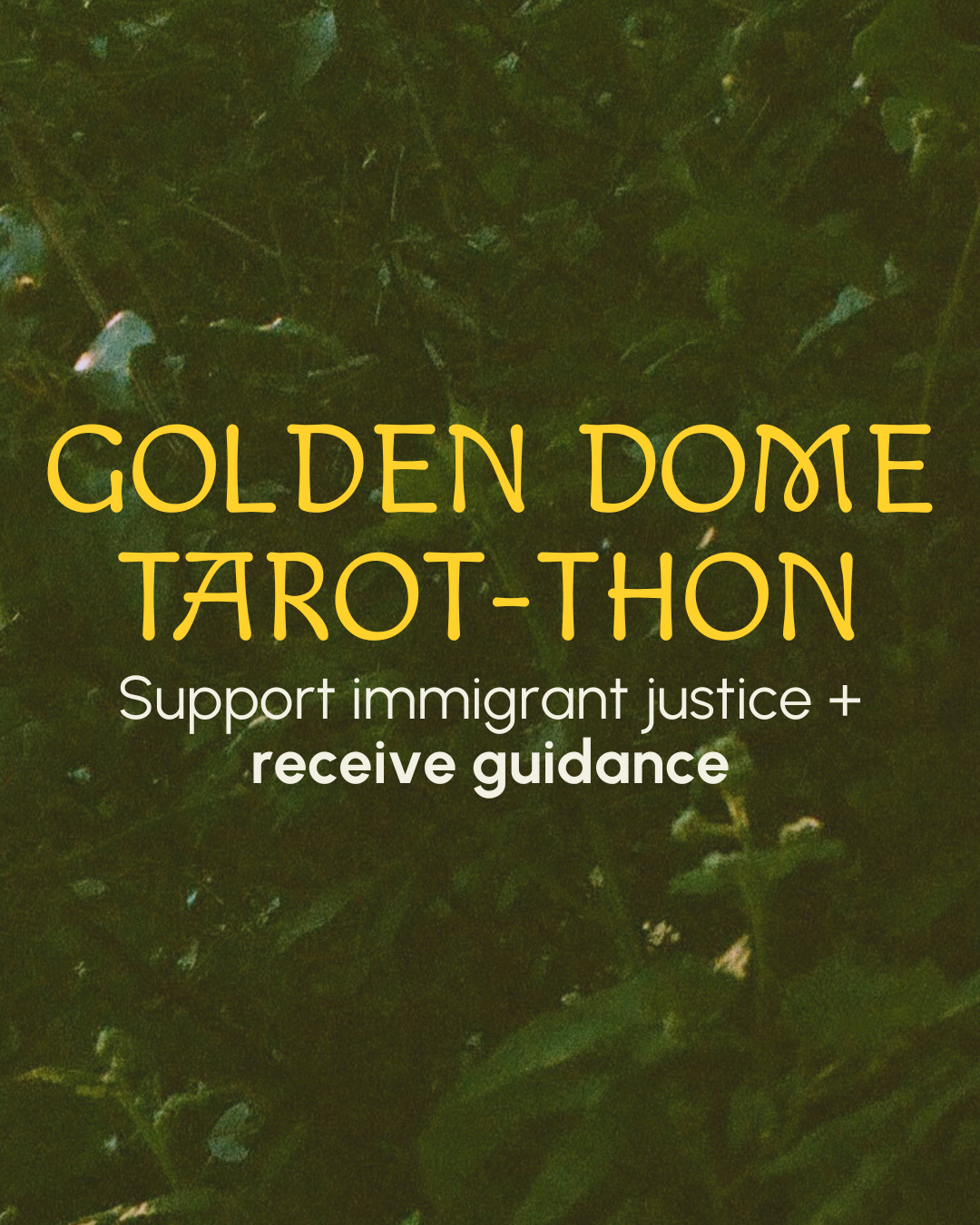 Golden Dome’s Tarot-Thon for Immigrant Justice