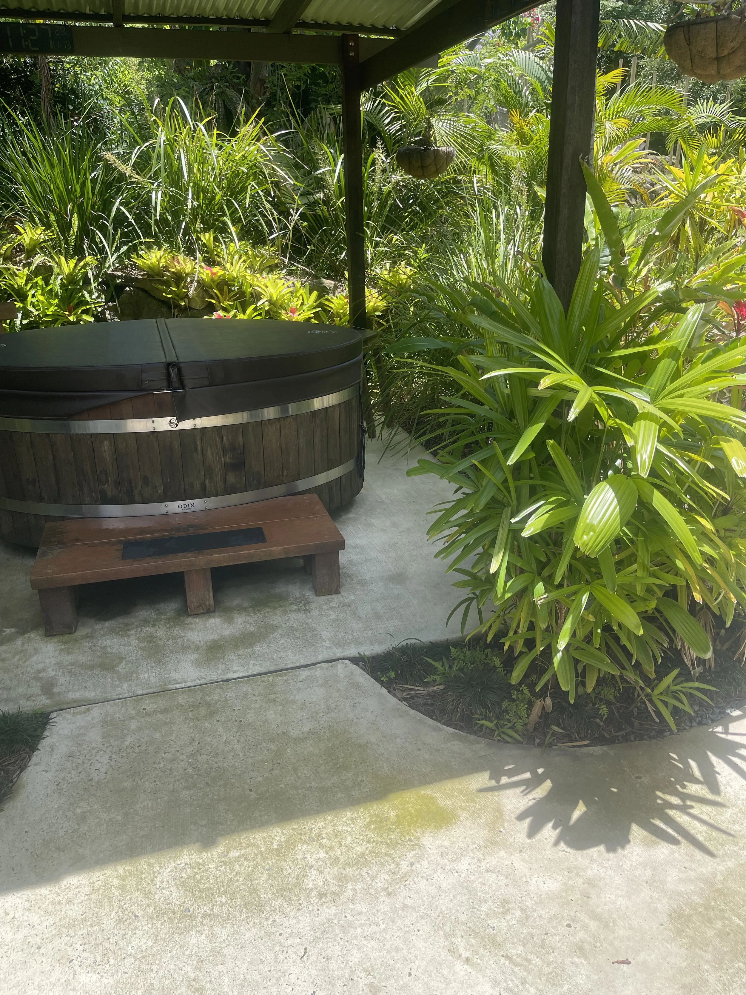A hot tub with a black cover on a concrete patio surrounded by lush green tropical plants.