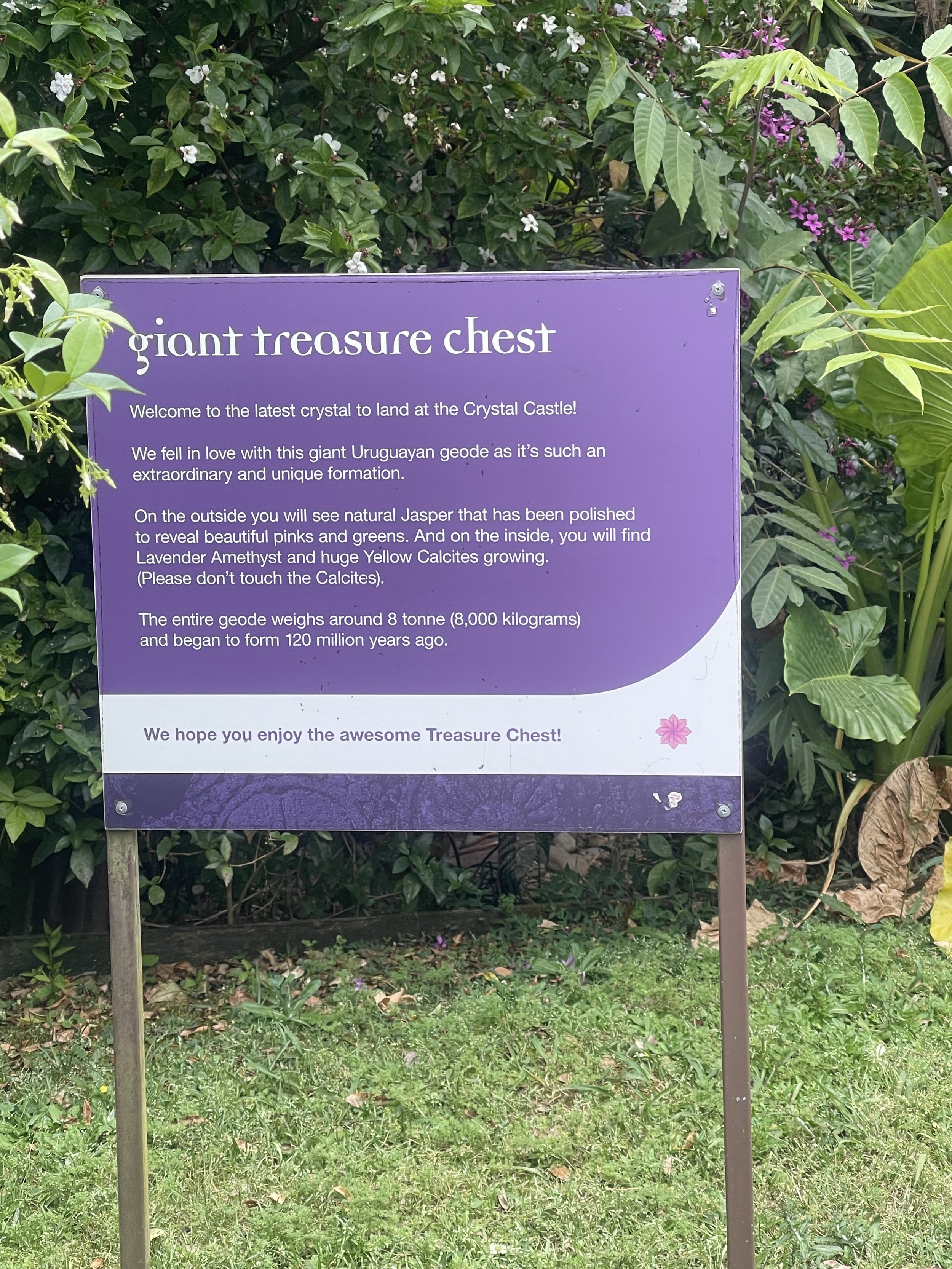Purple informational sign about a giant treasure chest, surrounded by green plants with some purple and white flowers in the background, located at the Crystal Castle.