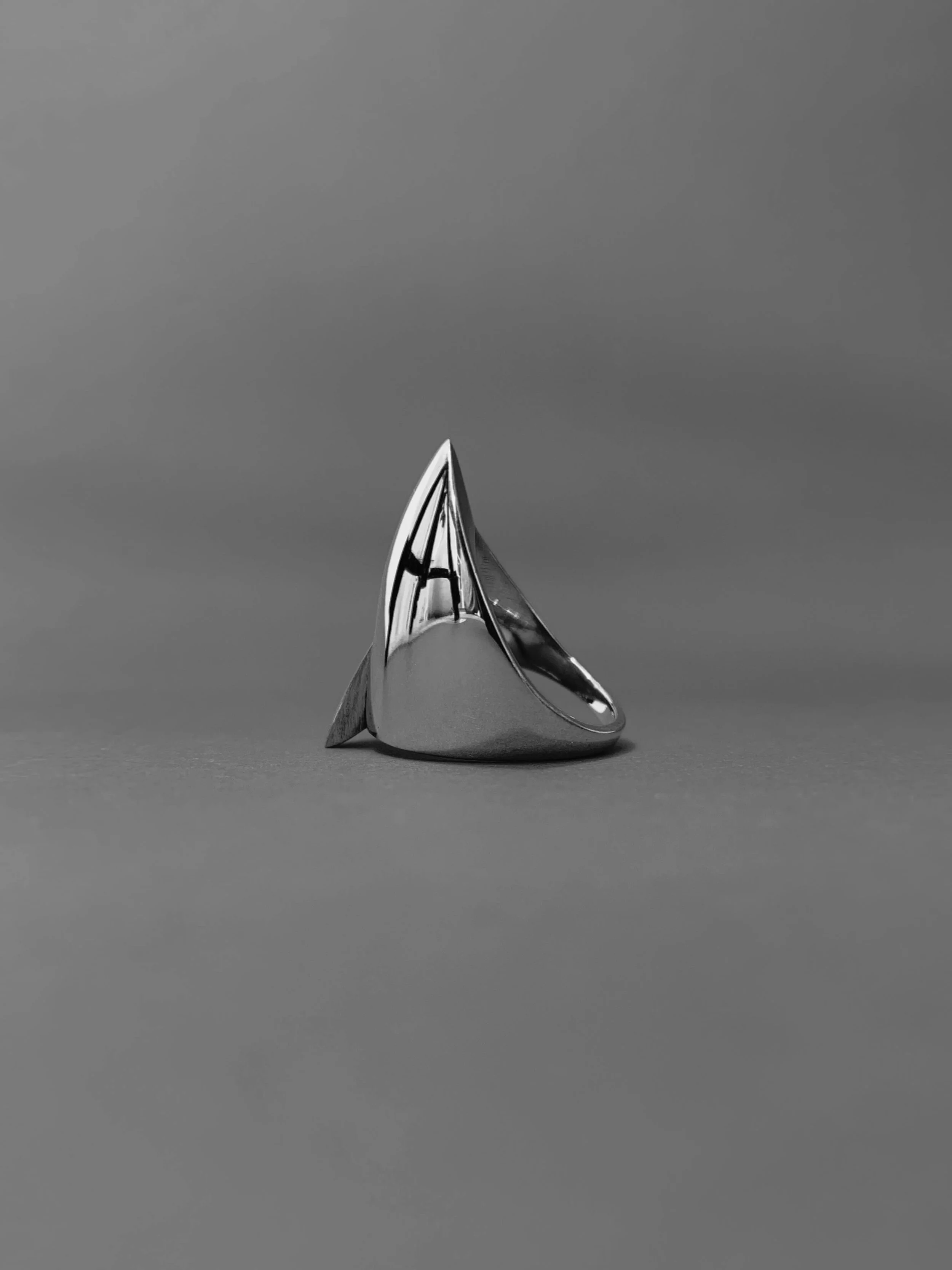 house ring | 1 .jpeg