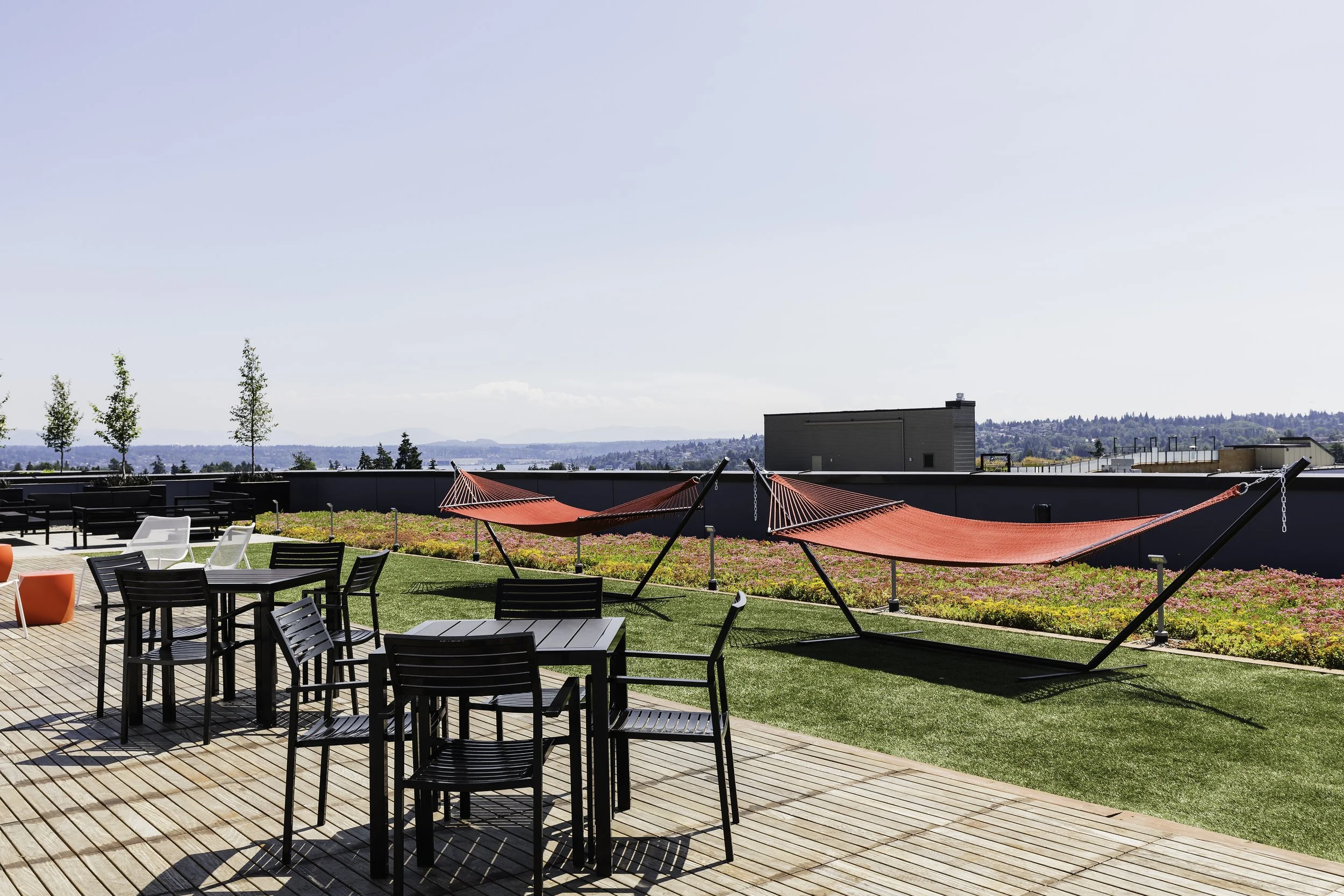Assembly118RooftopD-1f.jpg