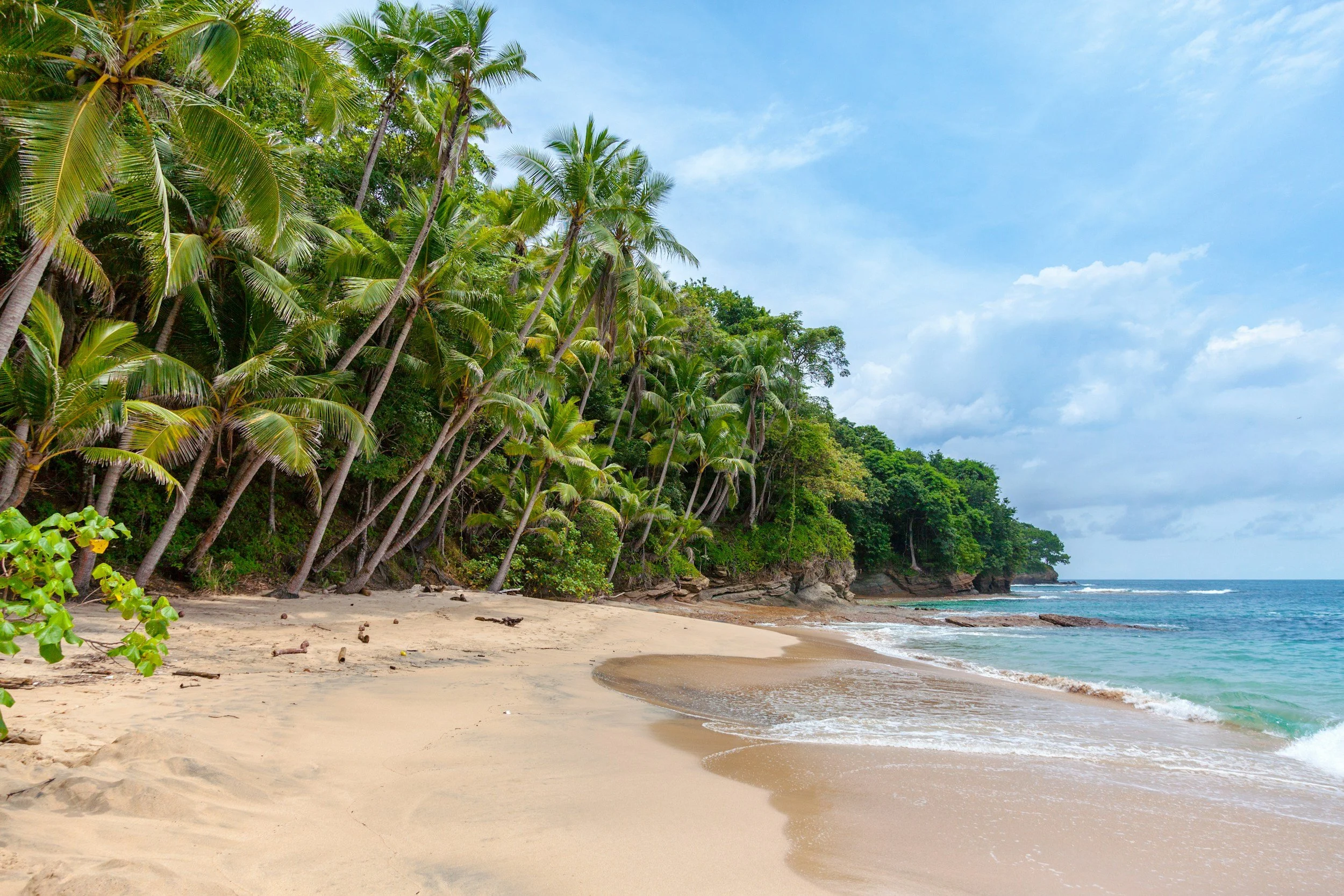 A beach with soft sand, calm ocean waves, lush green trees, and tall palm trees under a partly cloudy sky.