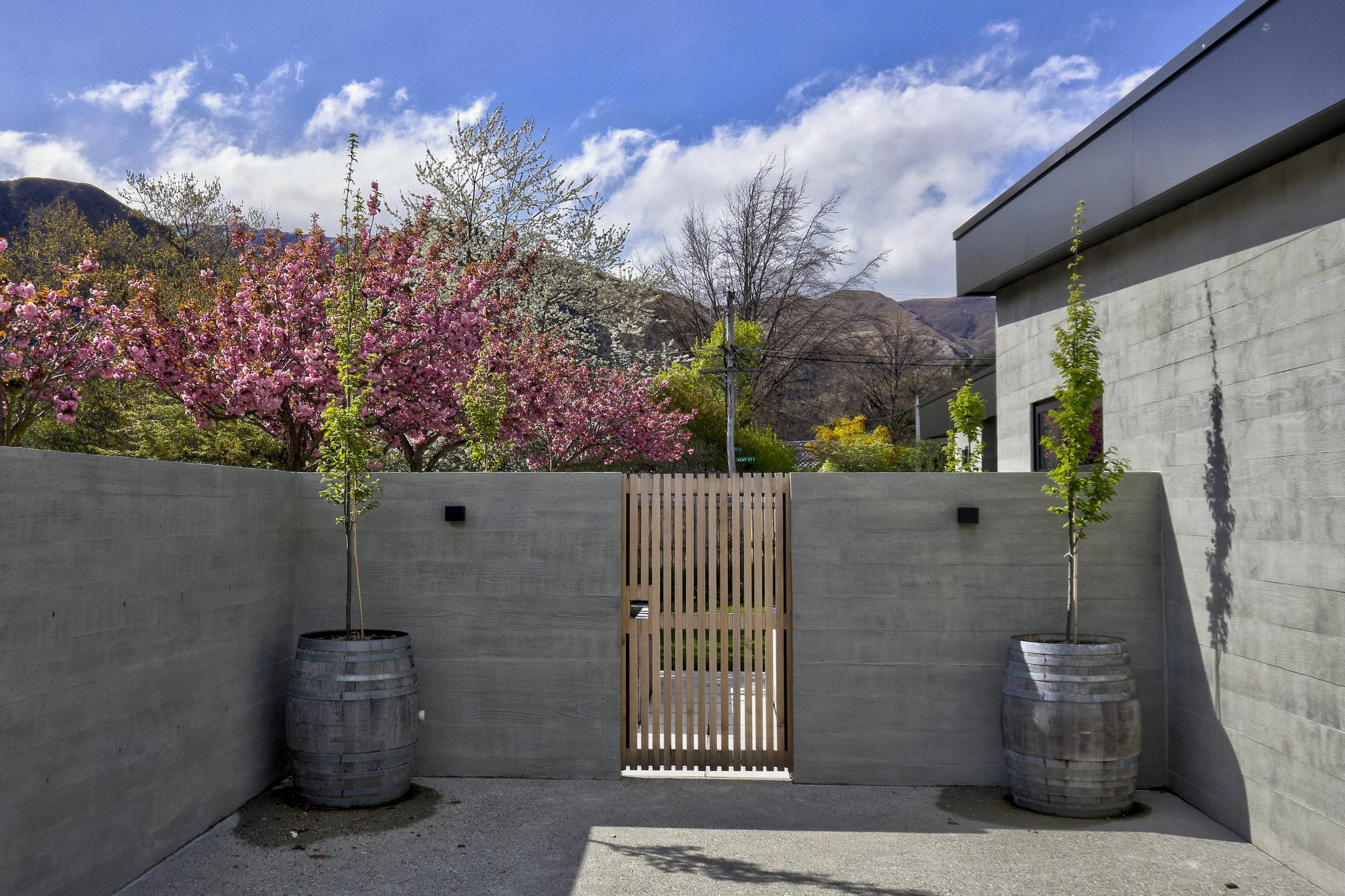 Still Vision  - 42 of 77.jpeg