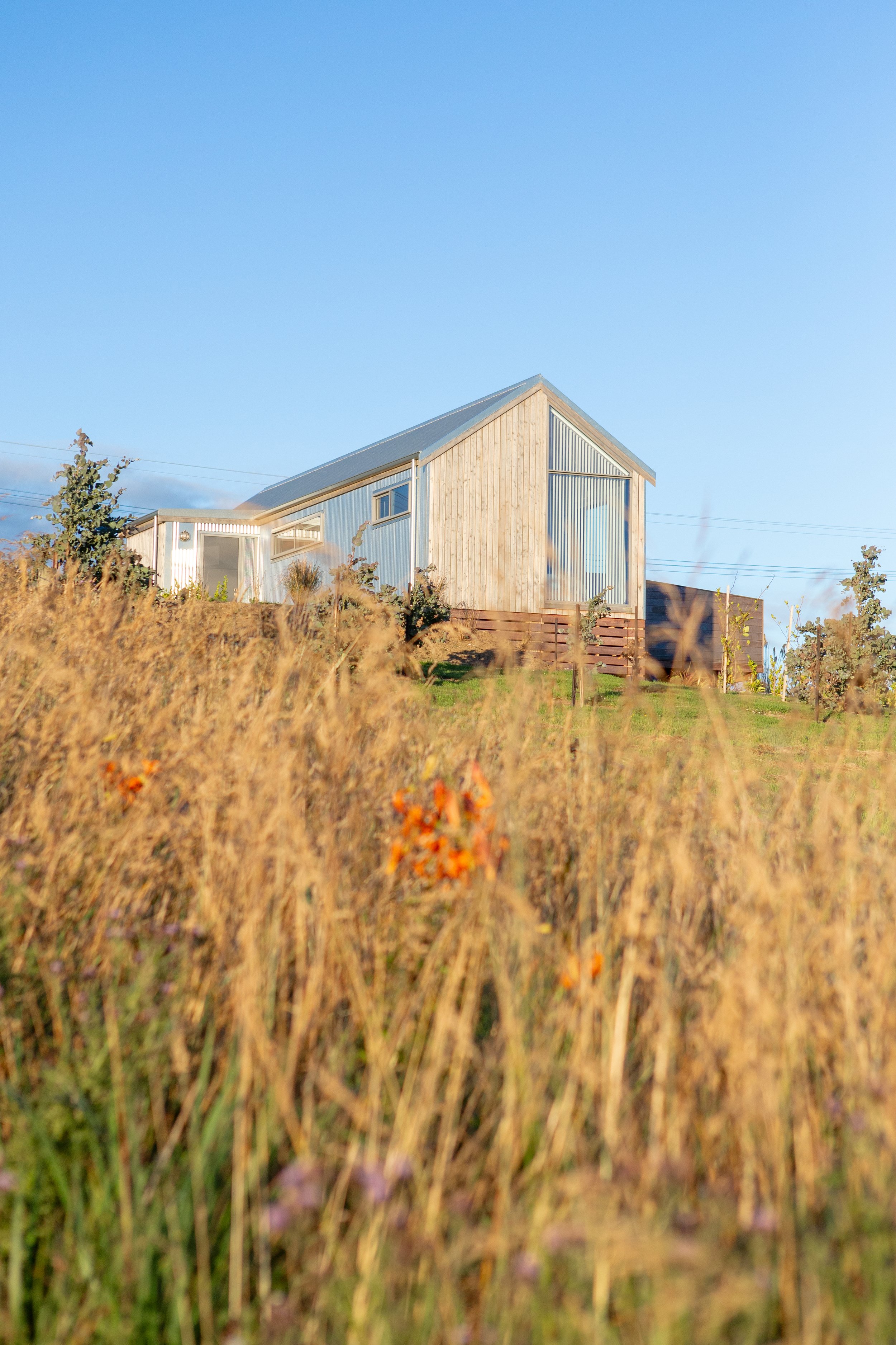 Riverton house design, Airbnb accommodation design, Granny flat design, light commercial architect central otago.