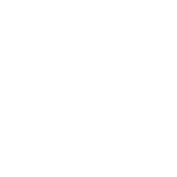 MAS Architecture Licensed Building Practitioner
