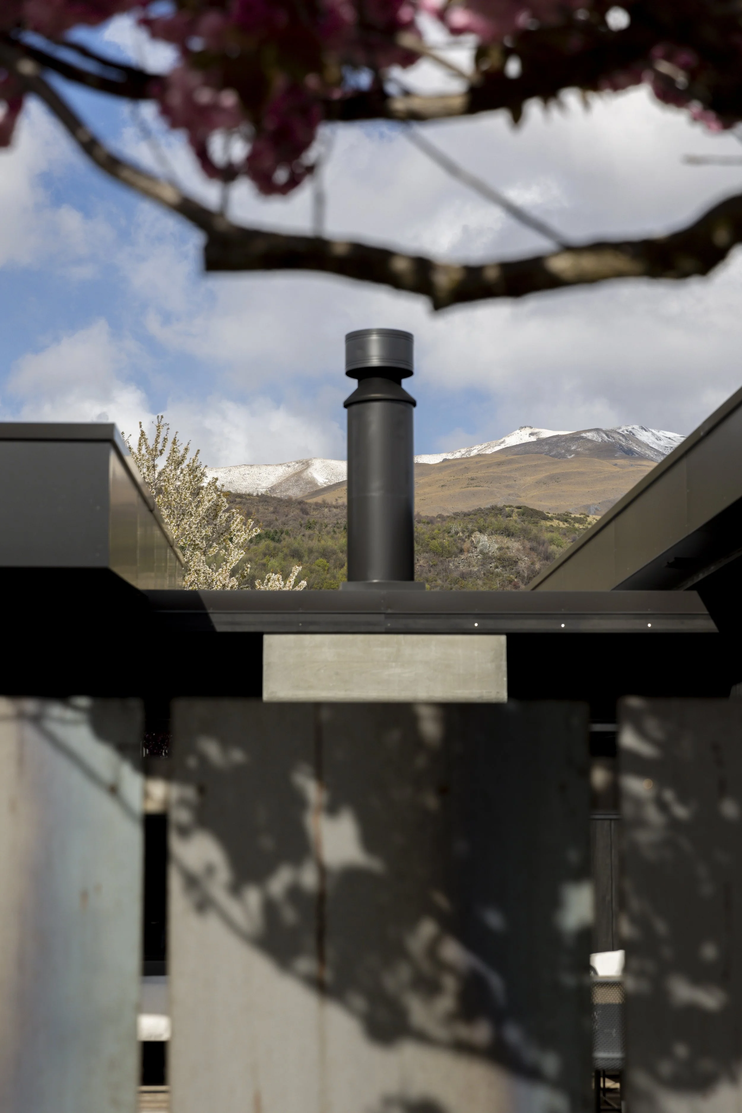 Still Vision  - 44 of 77.jpeg