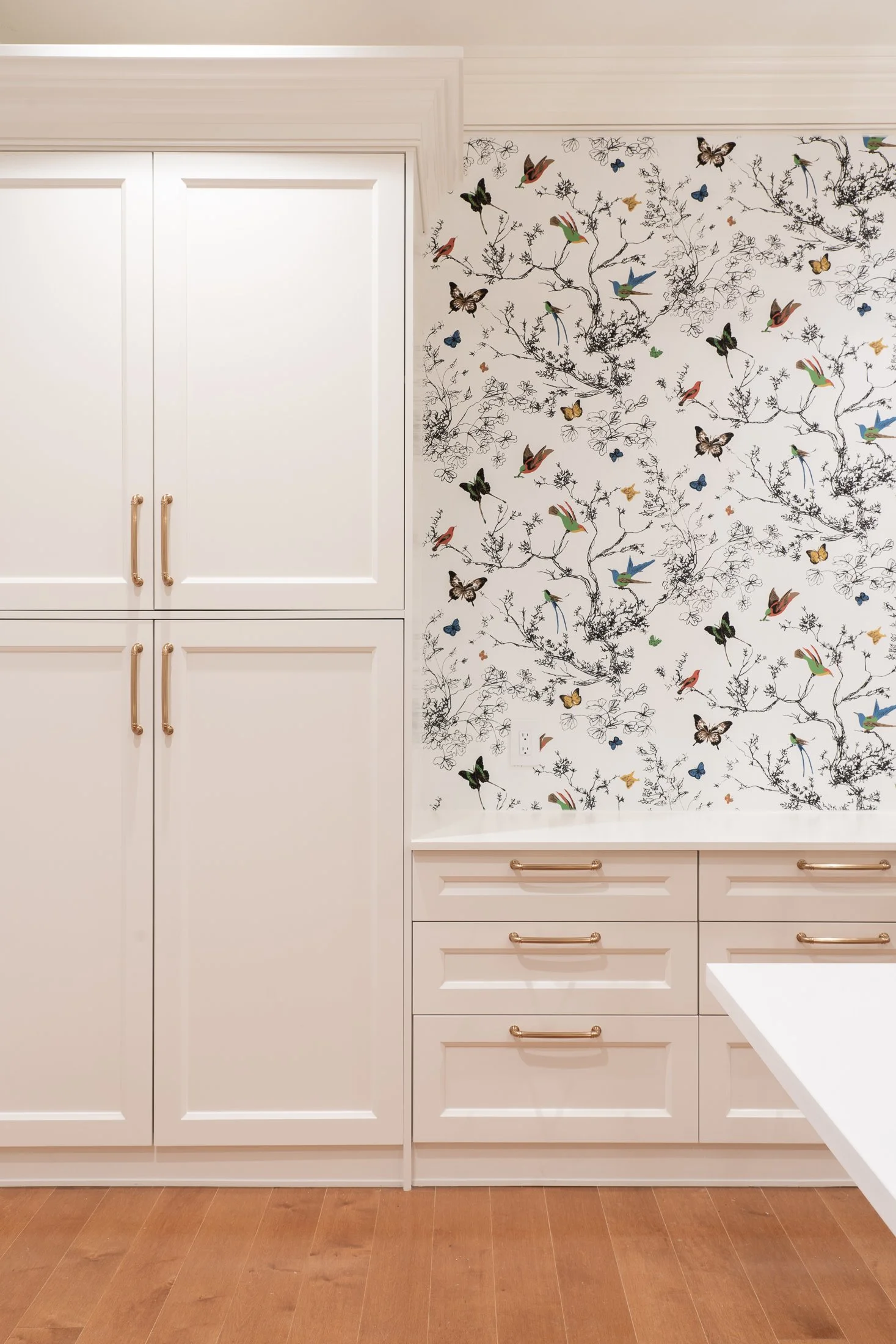 vancouver-26th-avenue-residence-butterfly-wallpaper.jpg