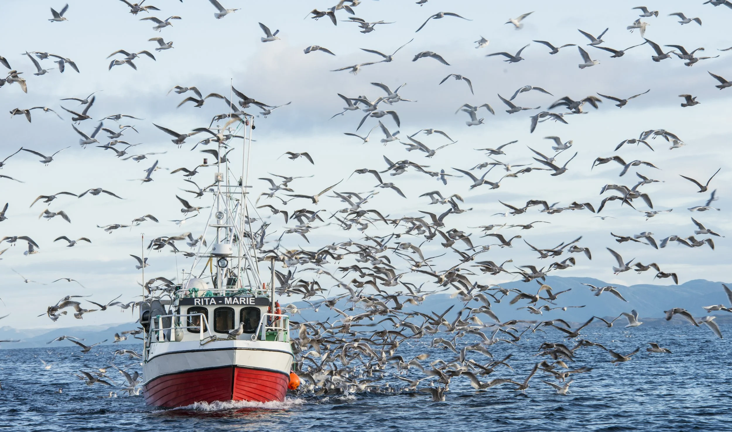 krabbefiske-8007816.jpg