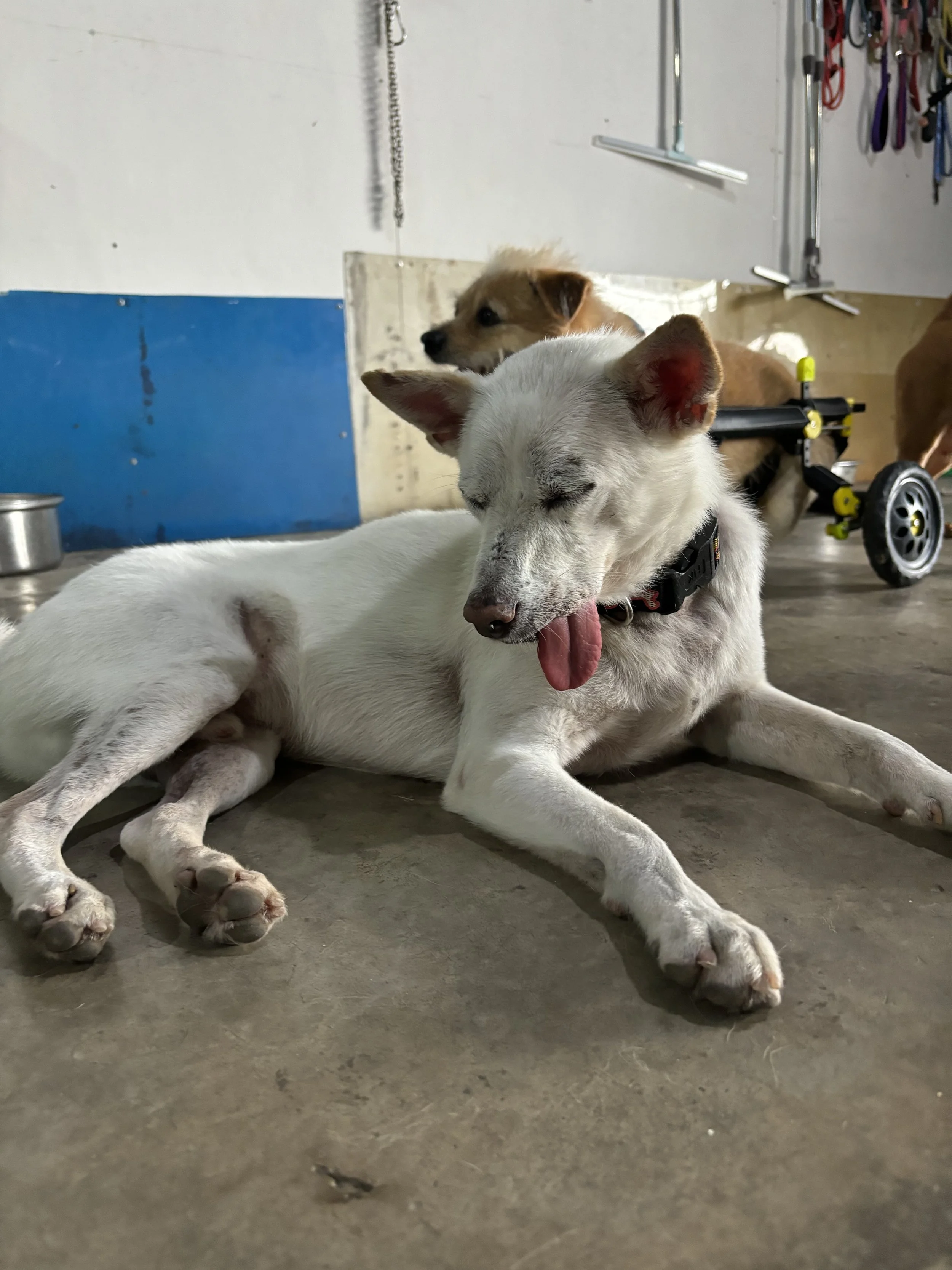 The not-so-pretty side of living in Saigon