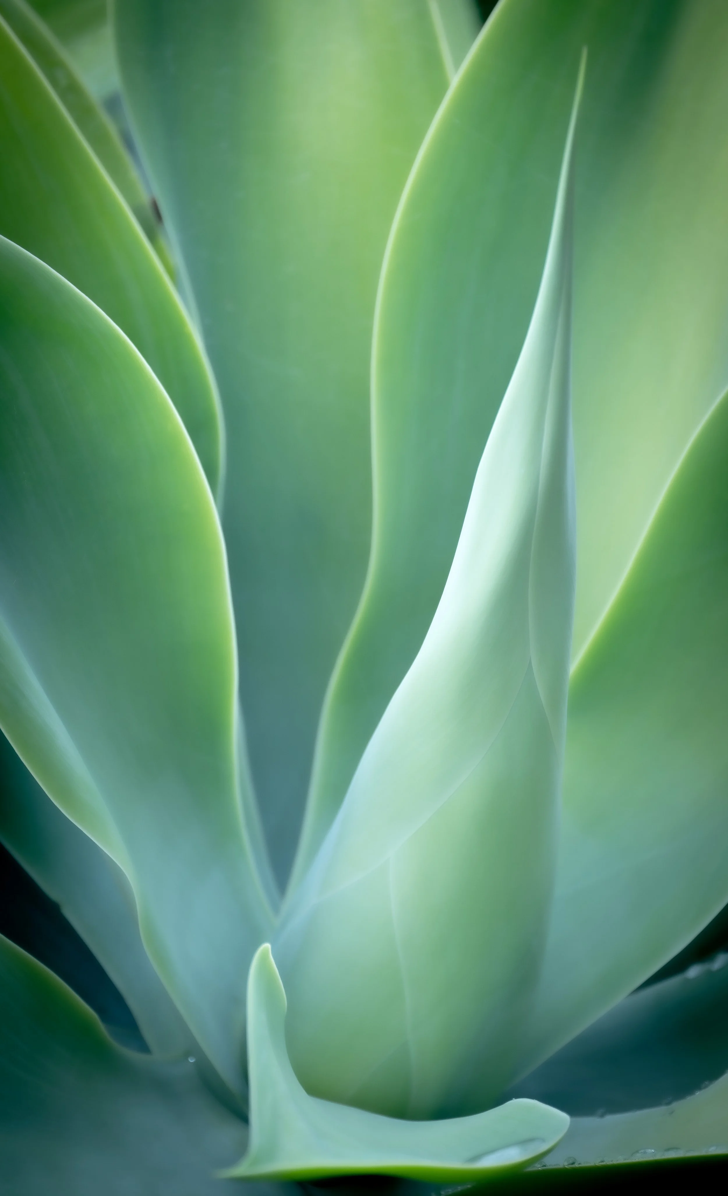 20231220-DSC_4352-Edit copy.jpg