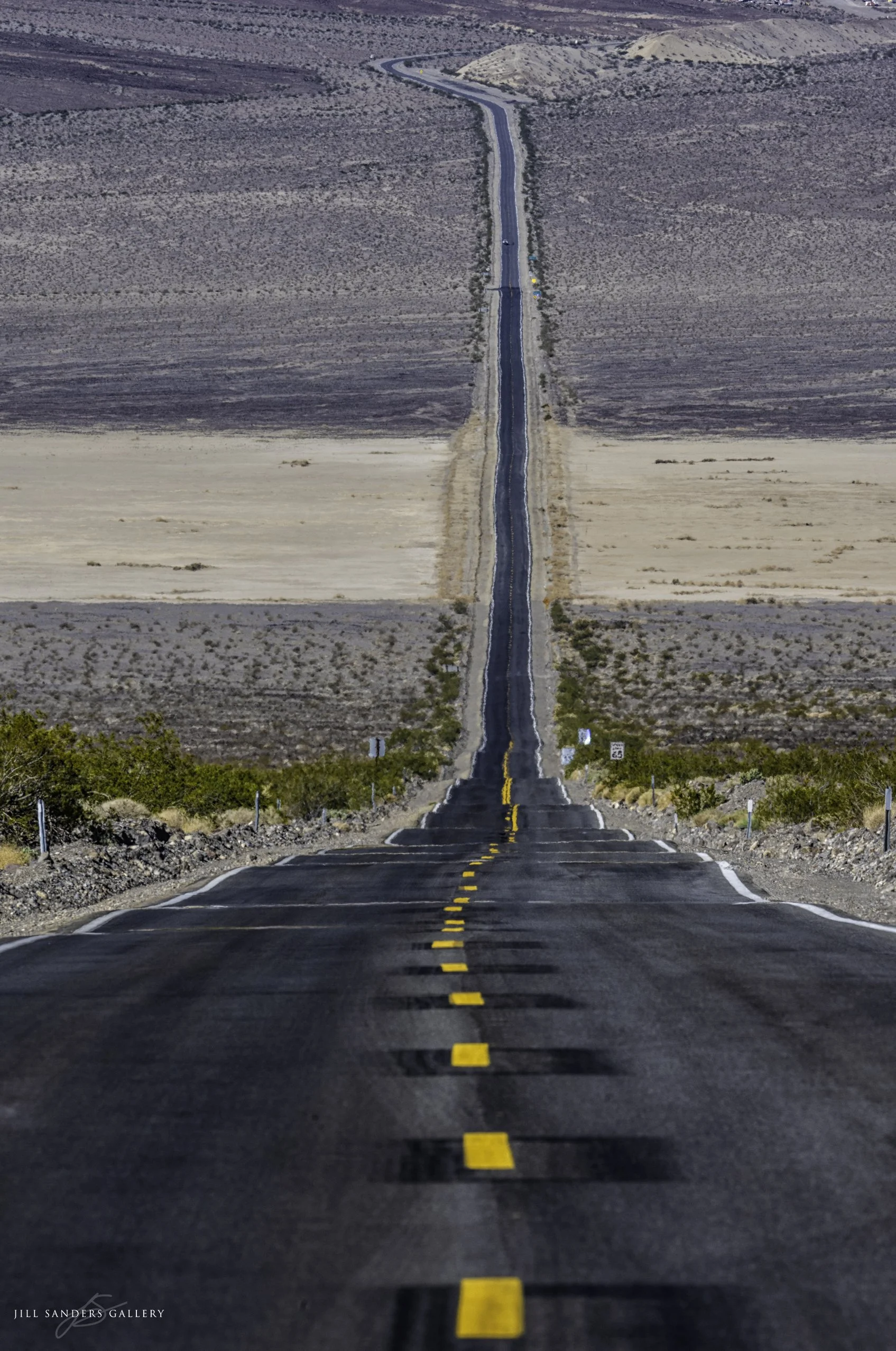 _SAN7808-DV copy.jpg