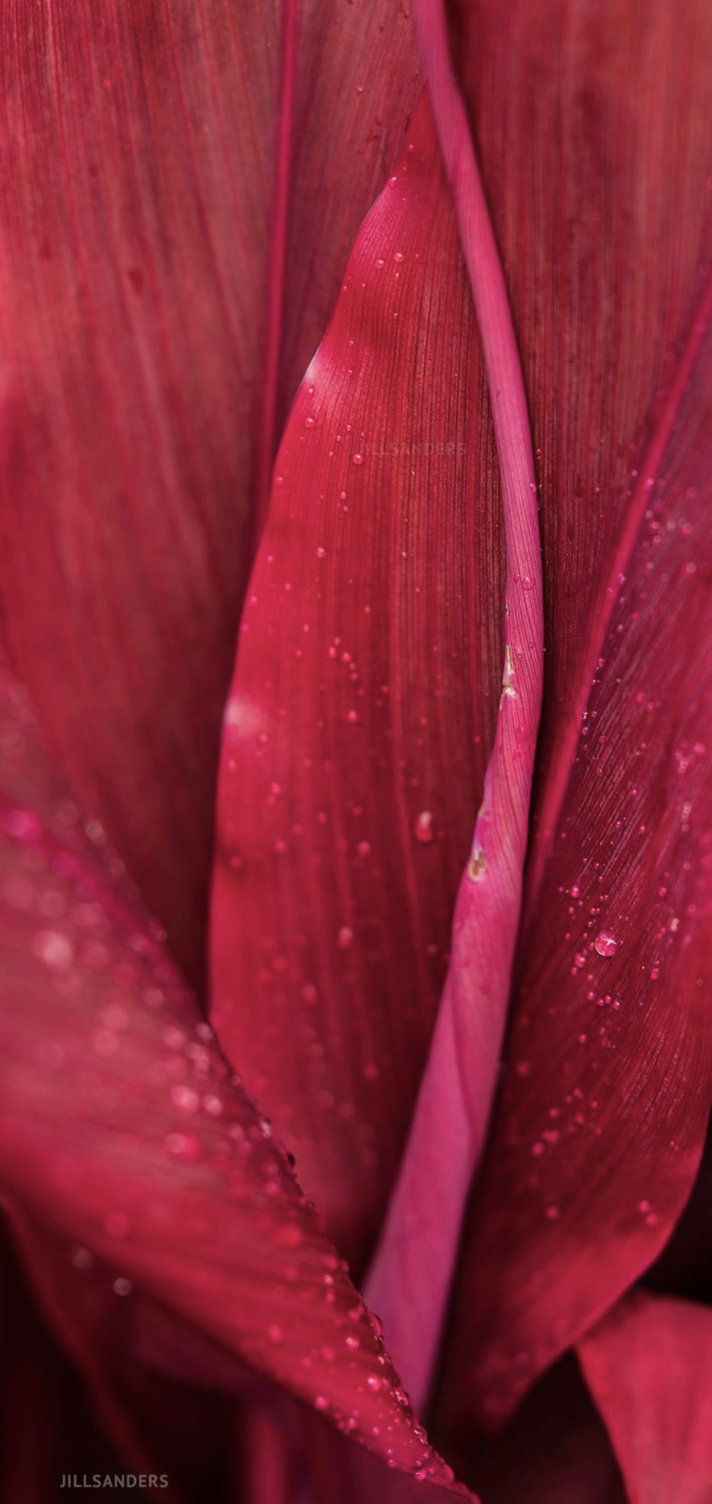 Screenshot 2026-01-20 at 11.42.23 PM.png