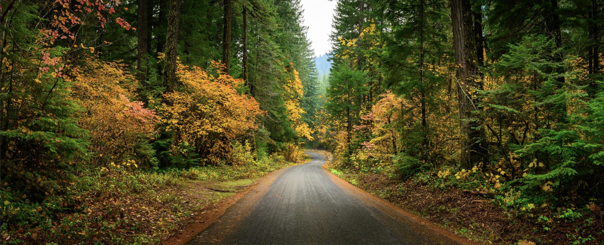 Screenshot 2025-12-29 at 5.43.33 PM.png