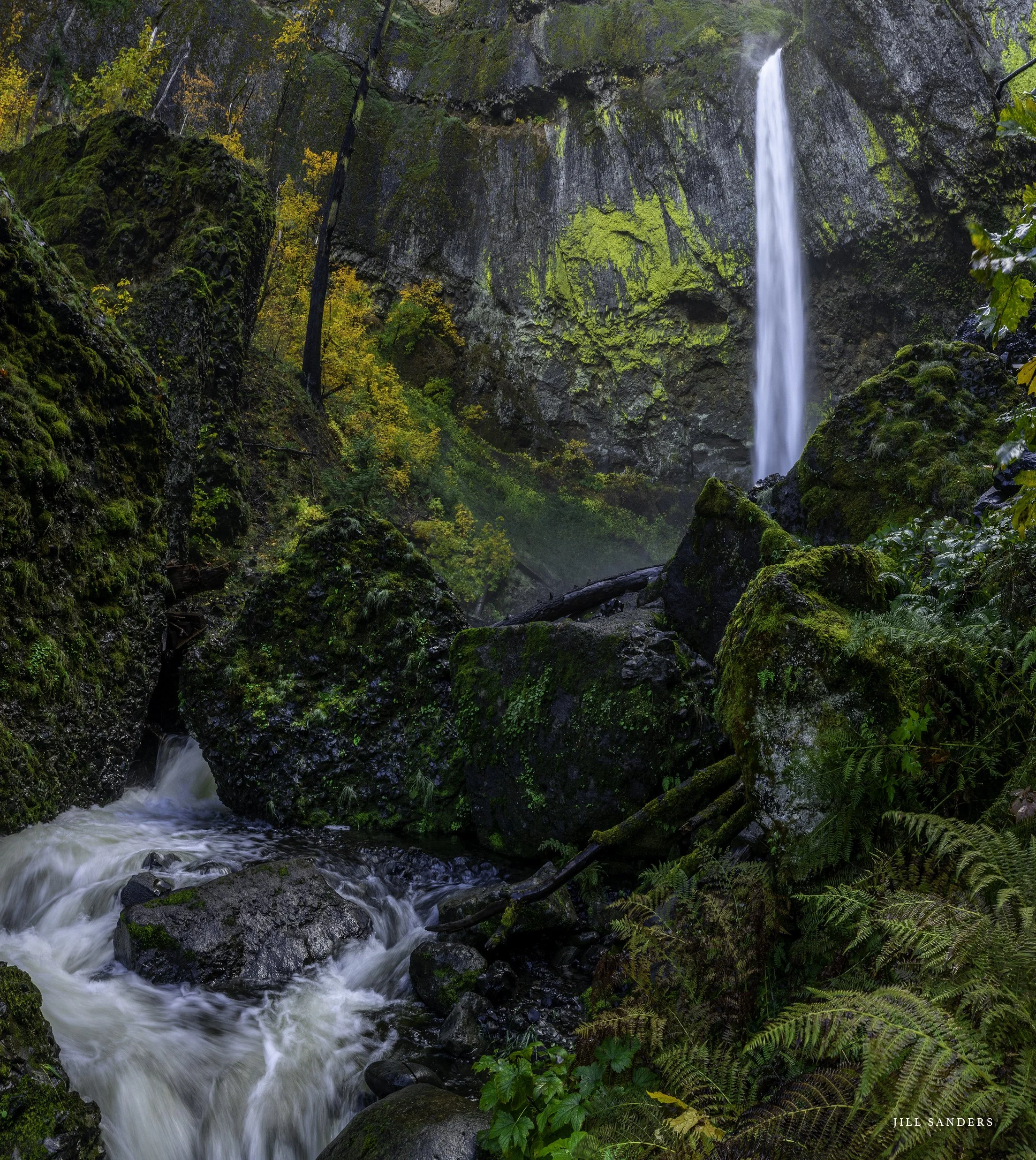 JSP_7122-Pano-elowah2.jpg