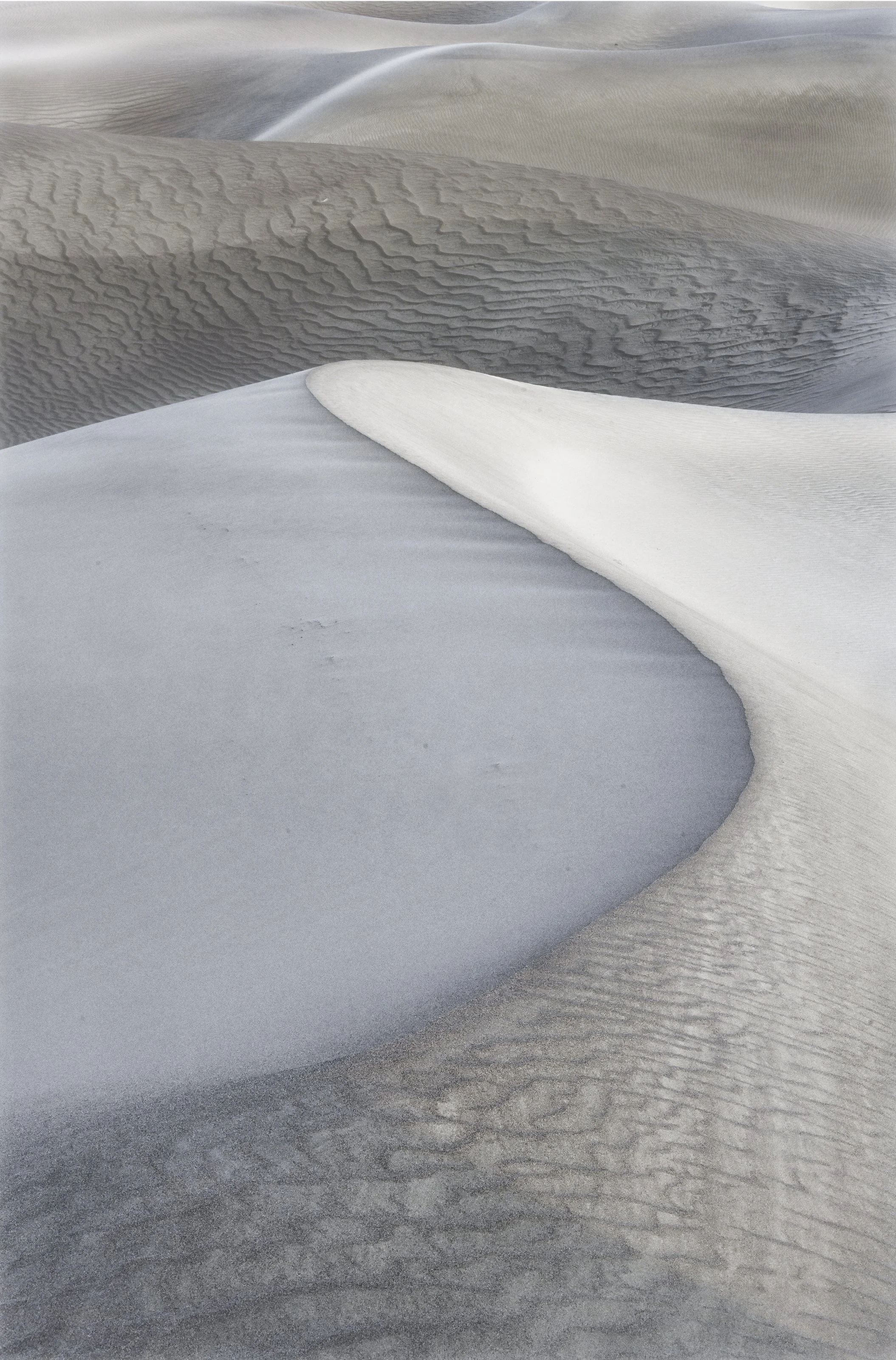 DSC_1037-Edit copy.jpg