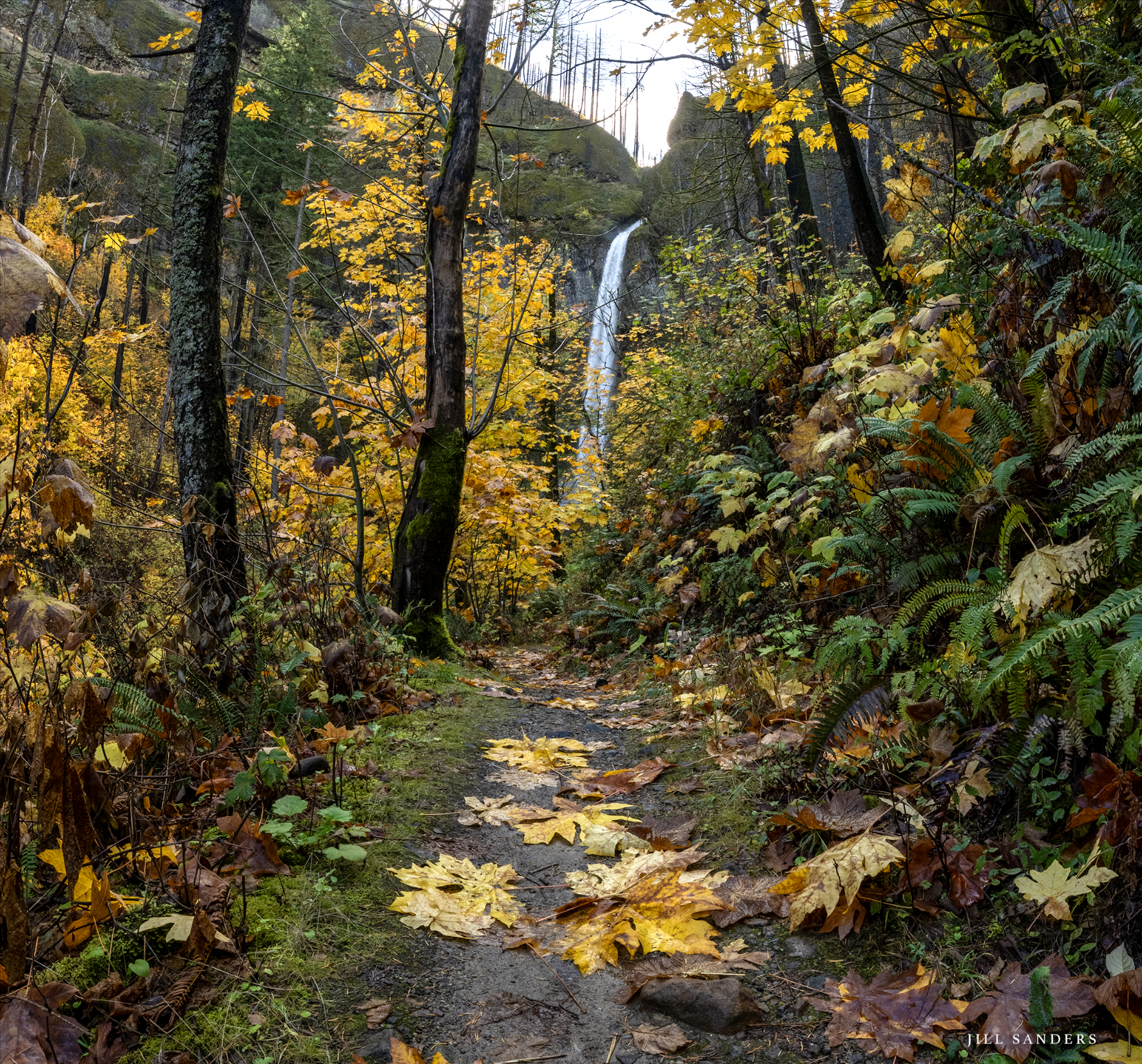 Screenshot 2025-11-03 at 7.37.45 AM.png