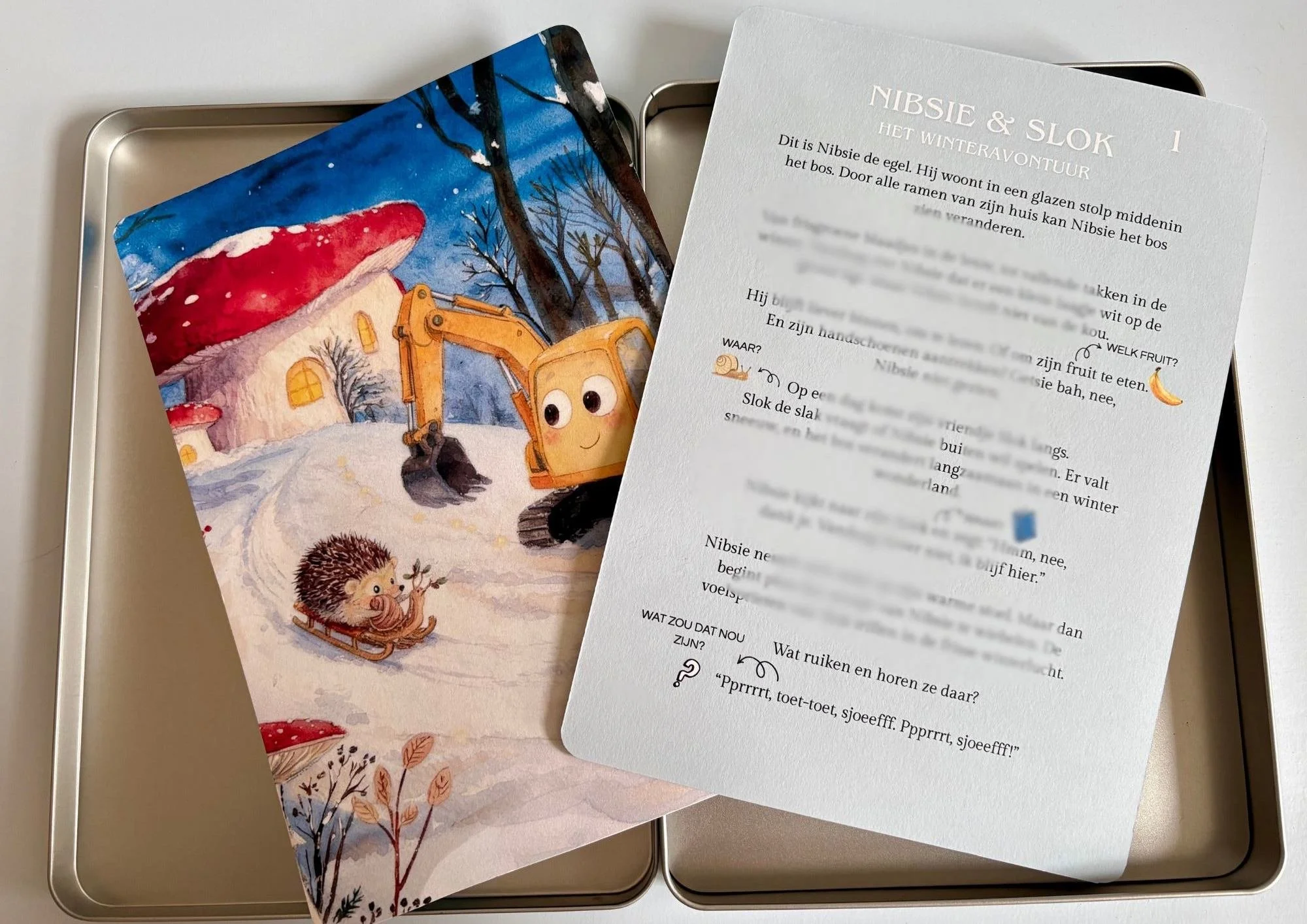 Voorbeeld achterkant (vervaagd).jpg