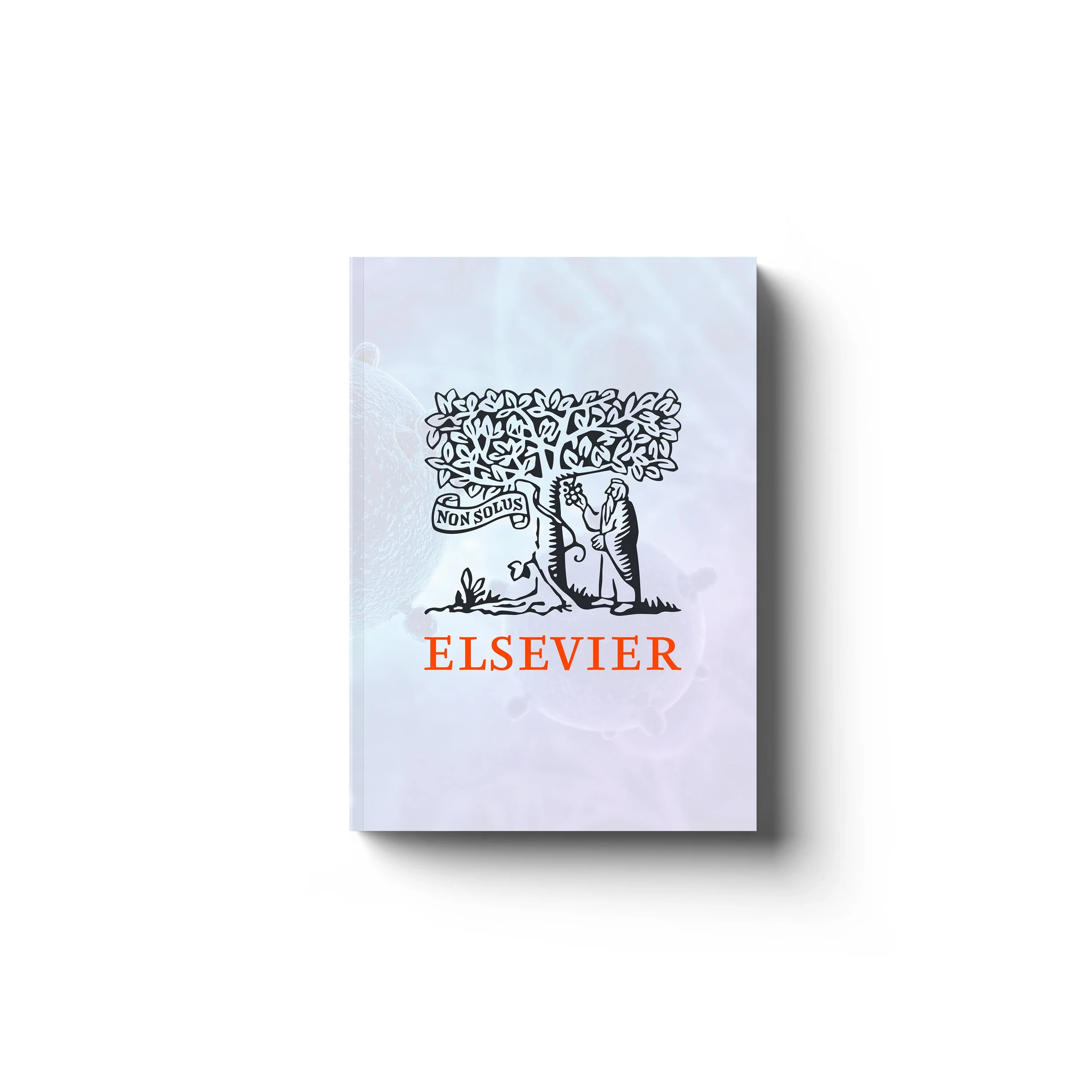 ELESALVIER 01.jpg
