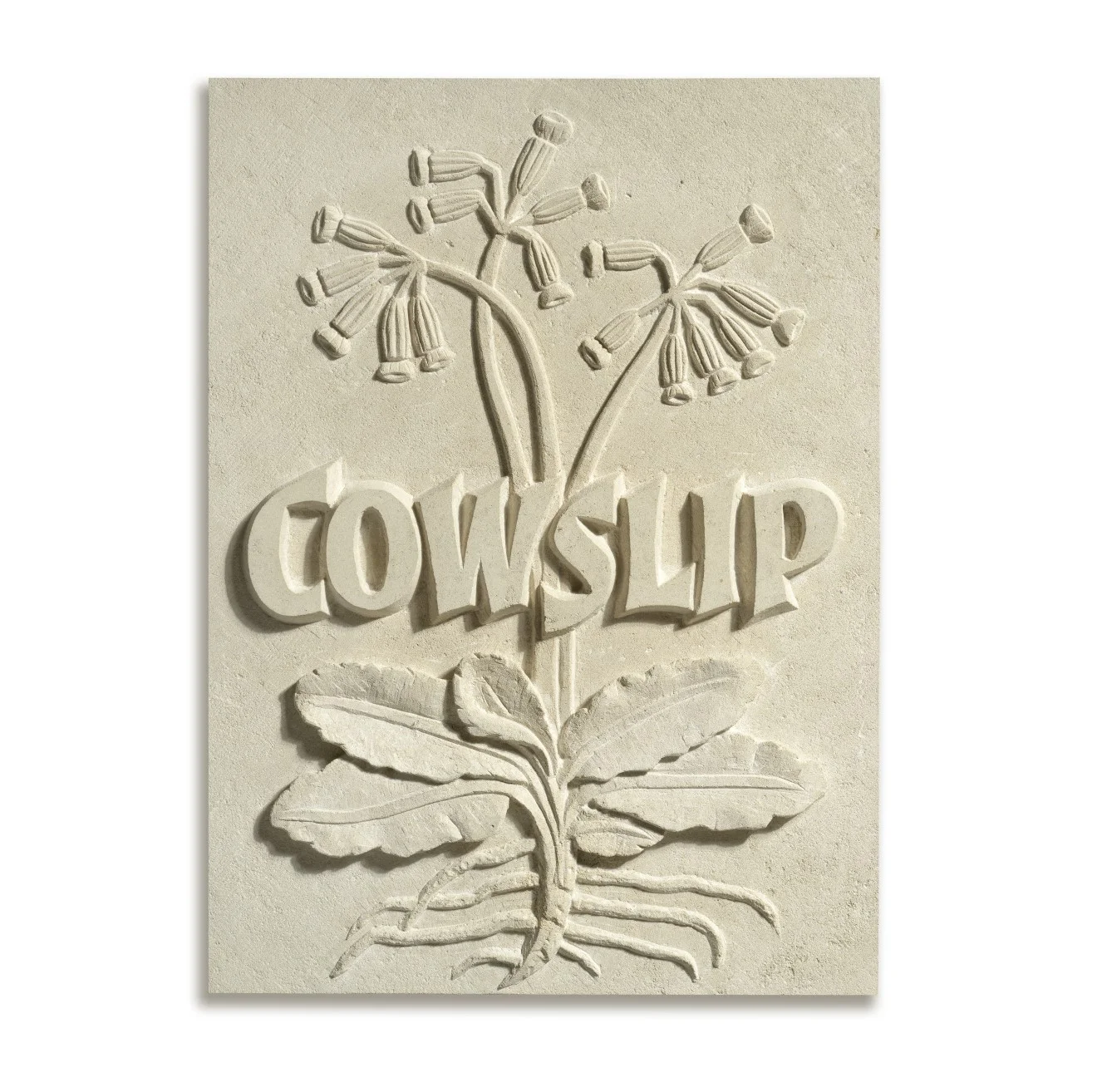 Cowslip by Bernard Johnson