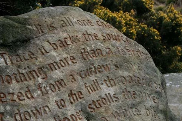 Pip Hall: The Stanza Stones case study and creative collaborations