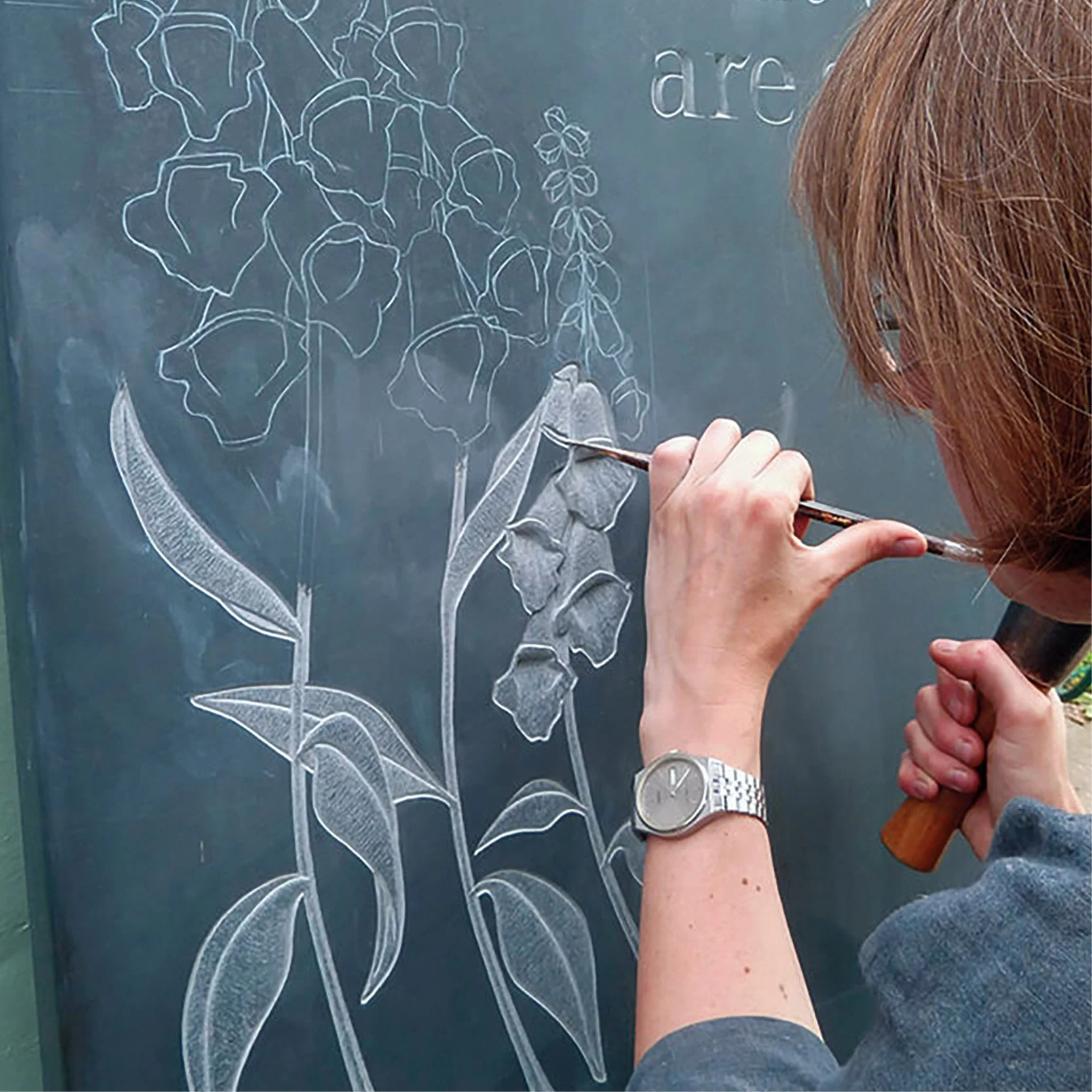 Person drawing a detailed diagram of a plant on a chalkboard with white chalk, focusing on the plant's structure, including leaves, stem, and flowers.