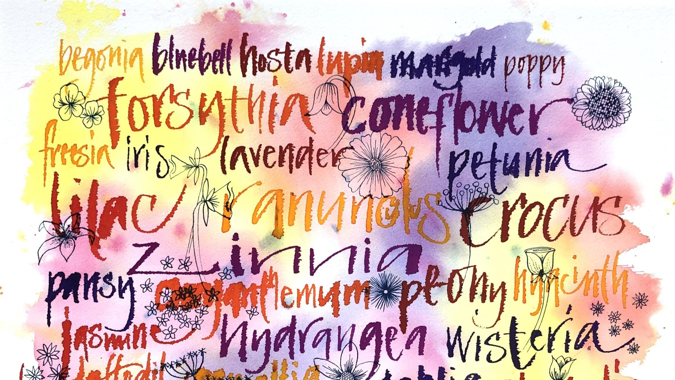 Colorful watercolor background with overlaid handwritten words and floral sketches. The words include various names of flowers like 'Lavender' and 'Iris,' and other floral-related terms in multiple colors such as purple, orange, pink, and yellow.