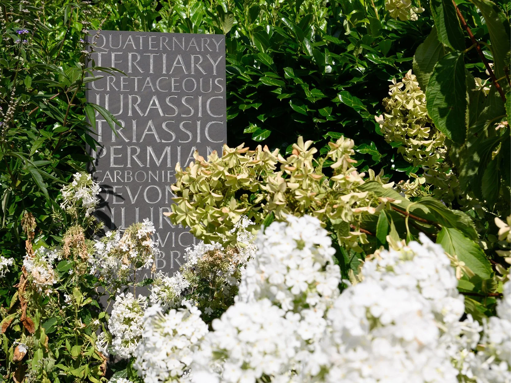 Historical stone monument partially hidden among lush green leaves and white flowers