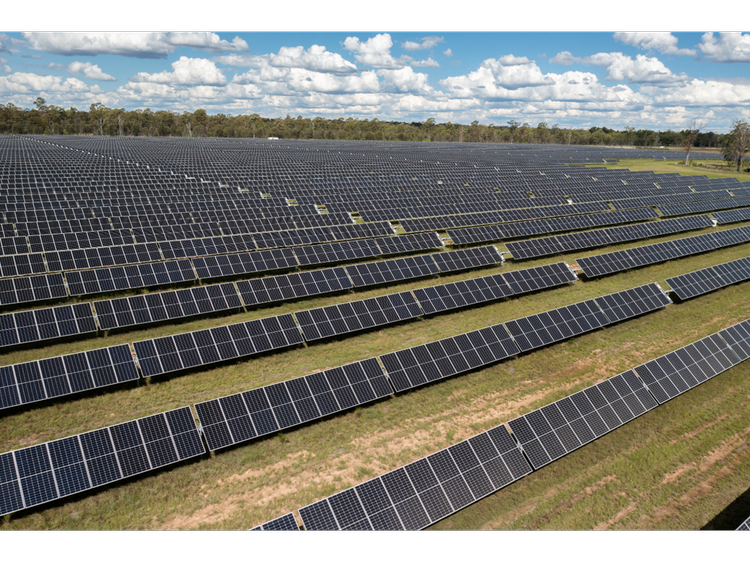 Solar farm vegetation management — ARC11 renewable energy site