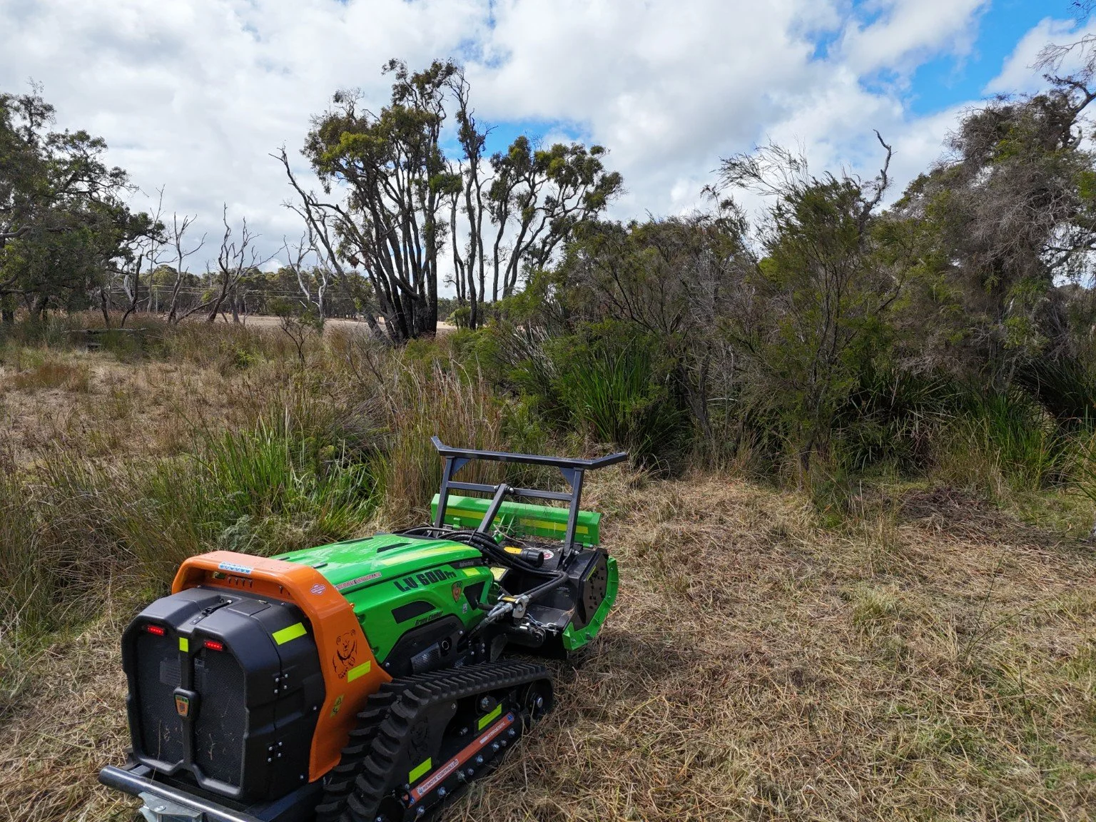ARC11 forestry mulcher operating in dense forest vegetation, clearing undergrowth and managing fire risk in Western Australia bushland