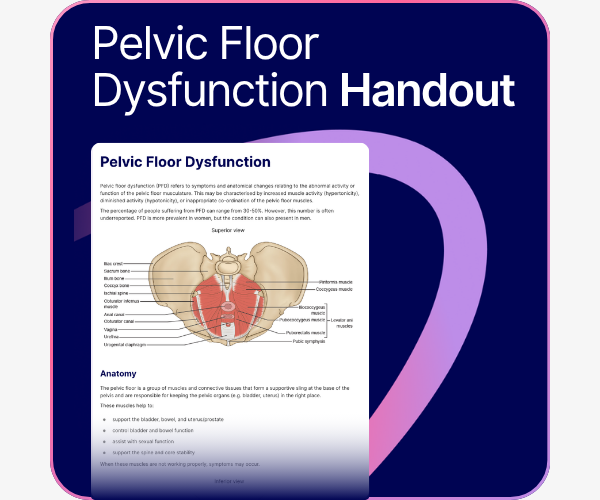 Pelvic Floor Dysfunction Handout