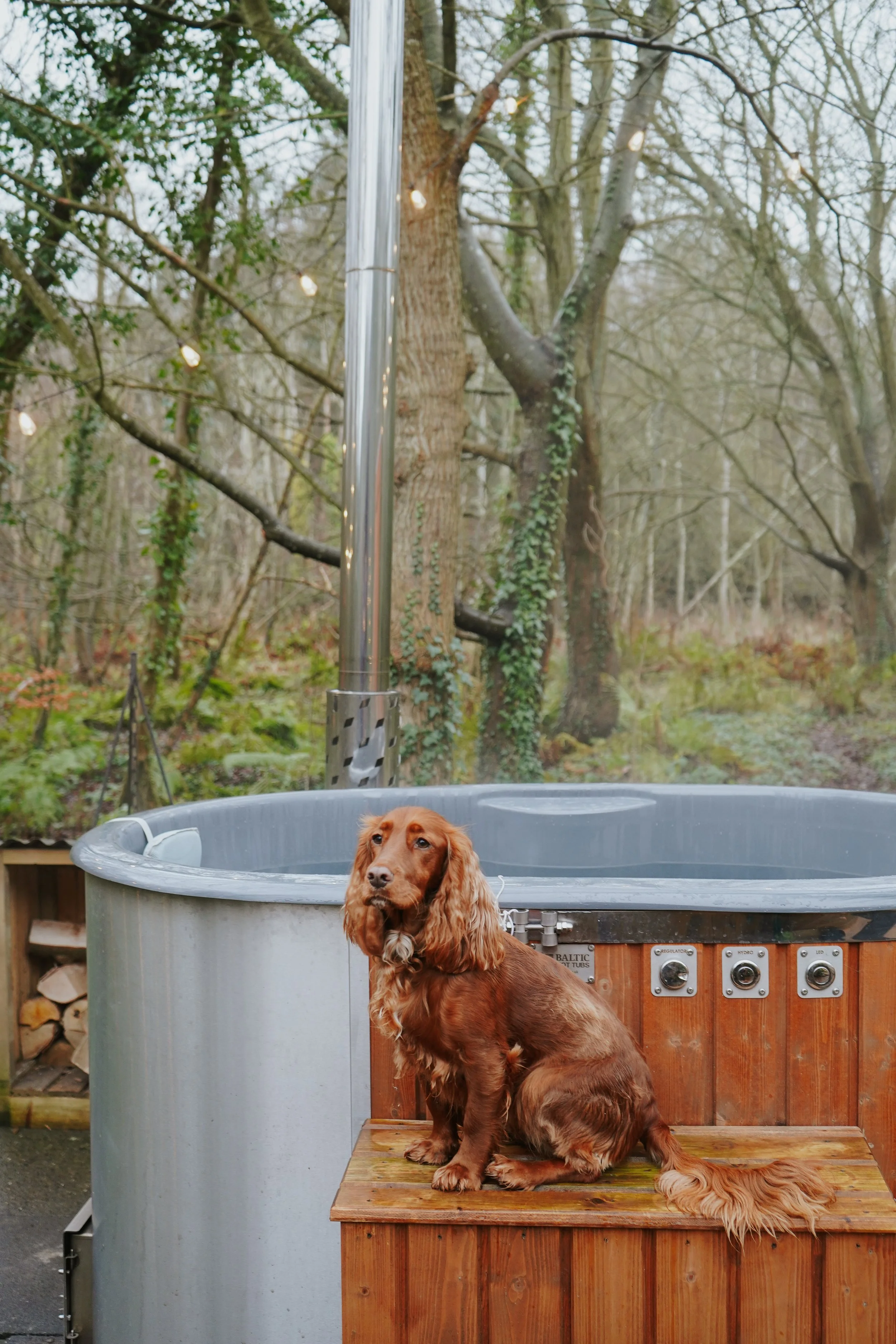 Hurkle Durkle Hut, Northumberland