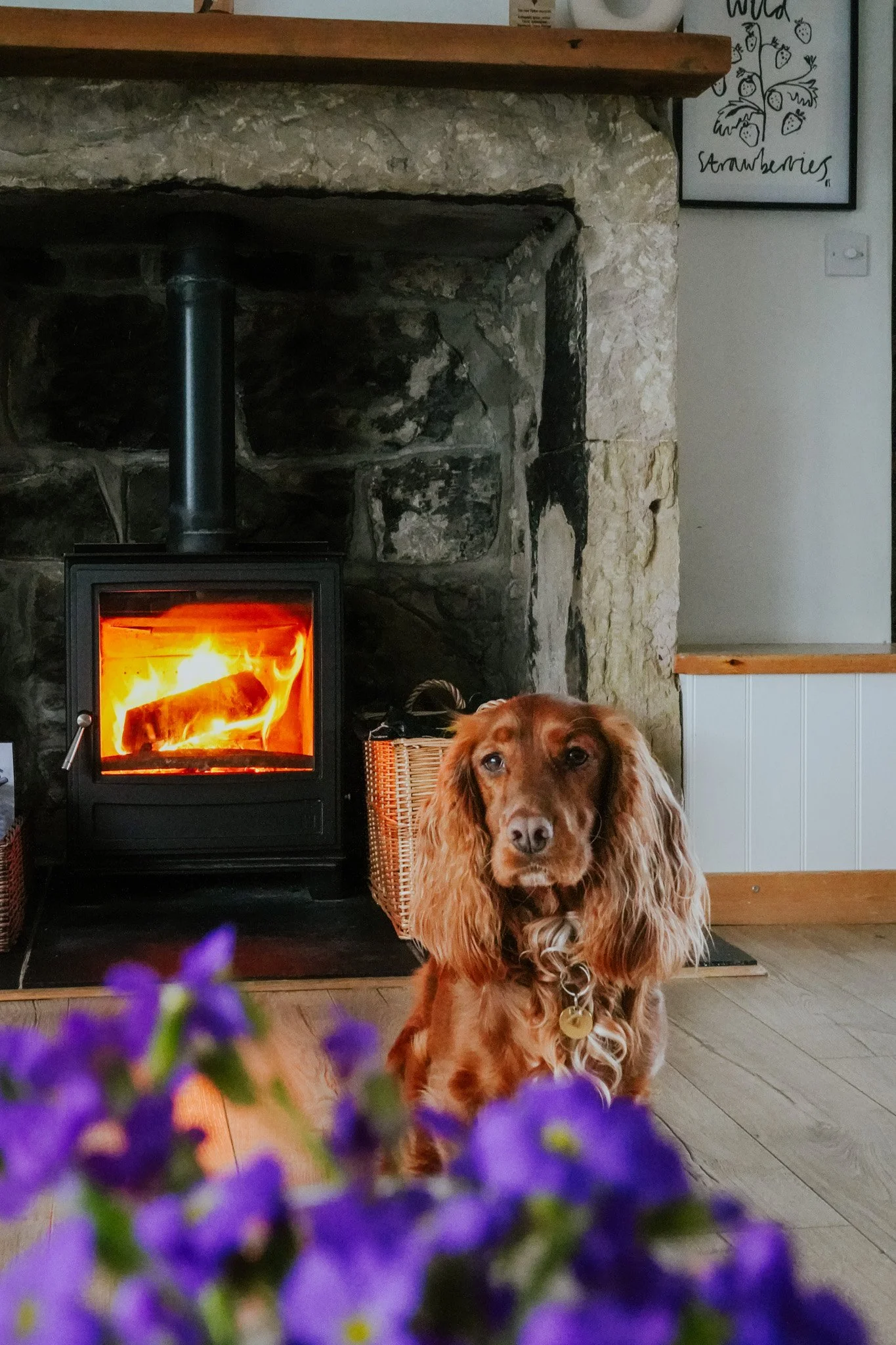 Border View Cottage, Tiptoe Retreat, Northumberland