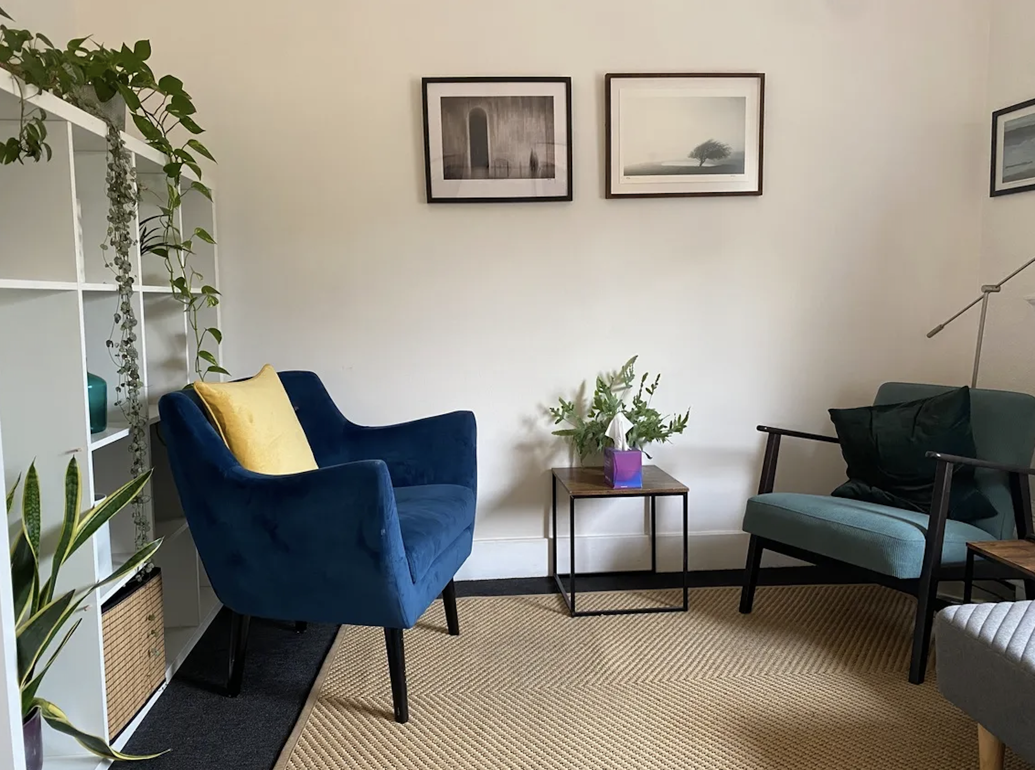 A room with a blue velvet armchair with a yellow pillow, a small wooden side table with a purple plant, framed pictures of outdoor landscapes on the wall, and various green houseplants on a white shelf and floor. The room has a beige rug and white walls.