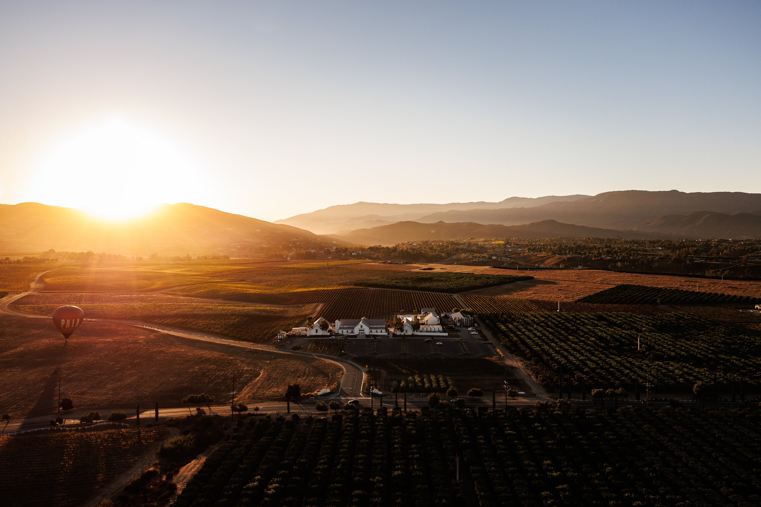 Sunrise over a large vineyard with a white winery building, hot air balloon, and rolling hills in the background.