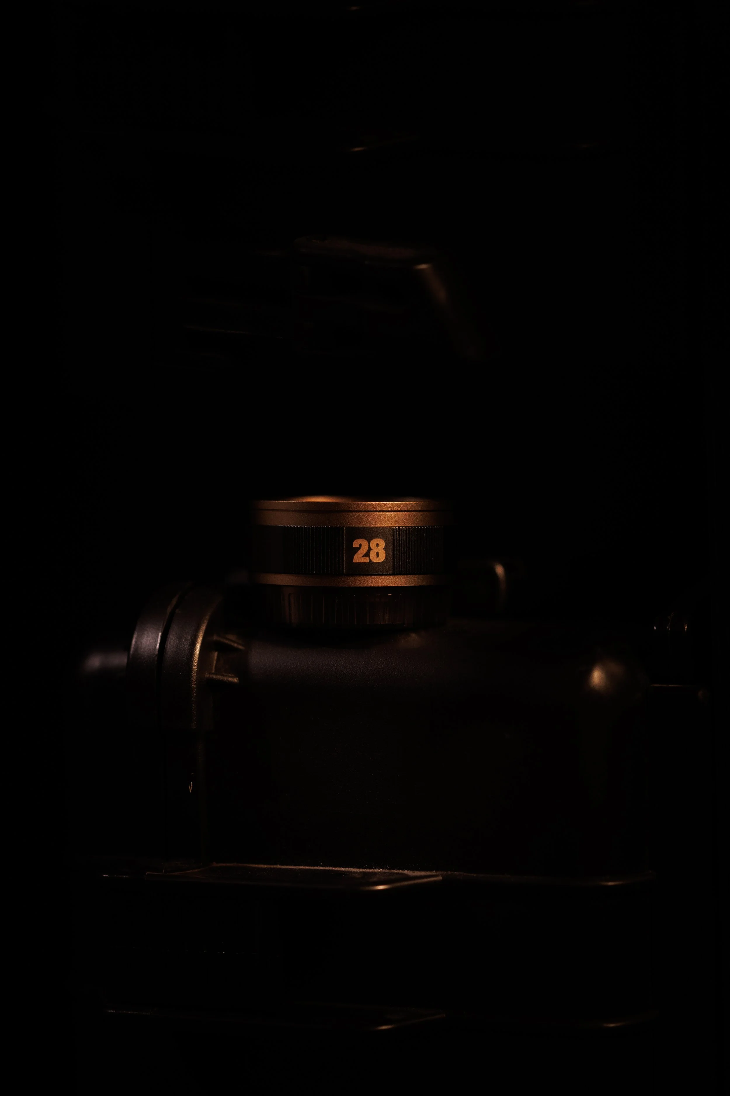 D50A1898.jpg