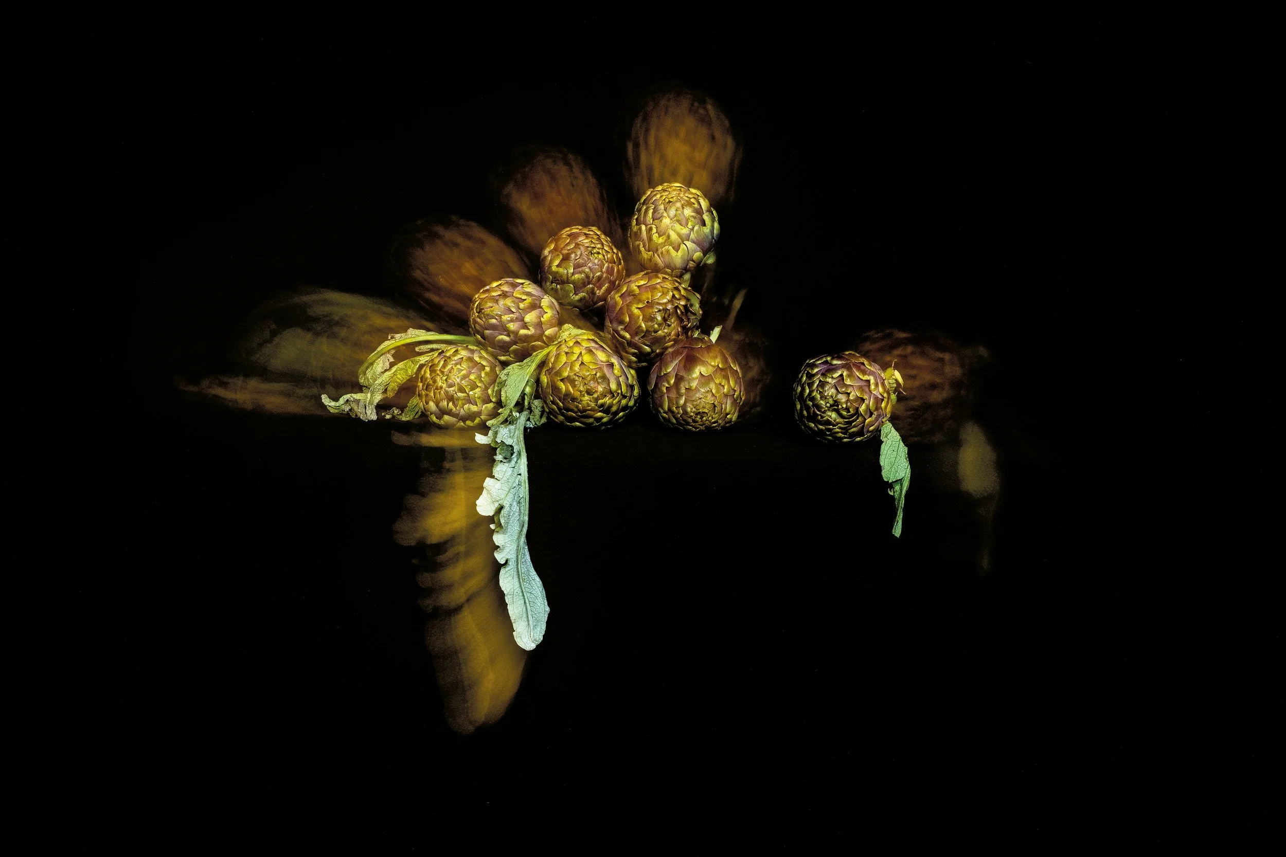 L1010226.jpg