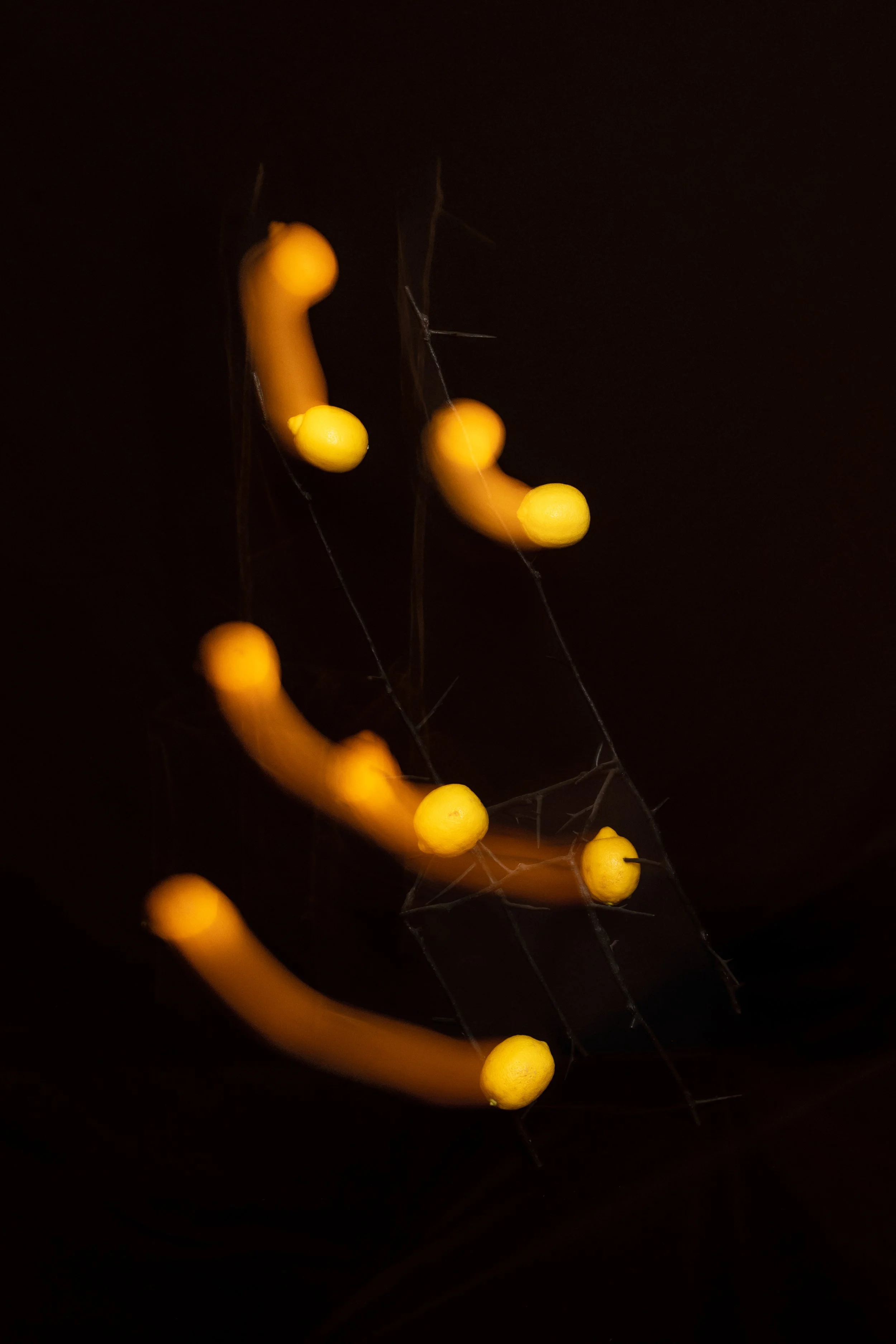 L1000878.jpg