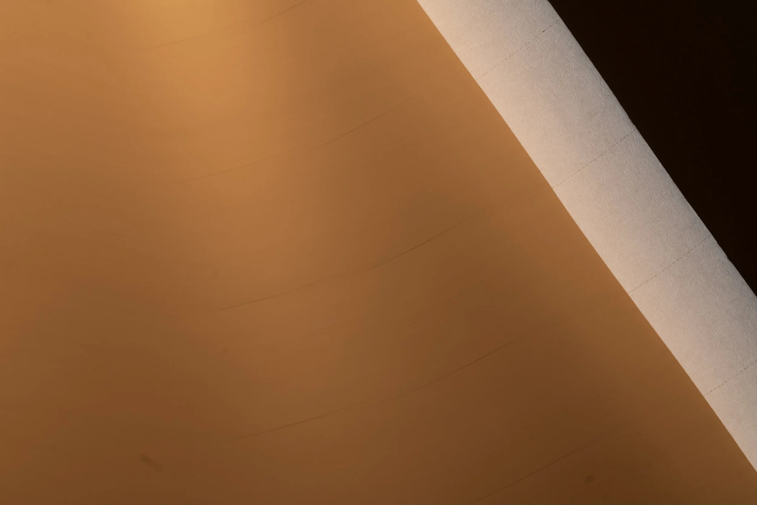 L1010392.jpg